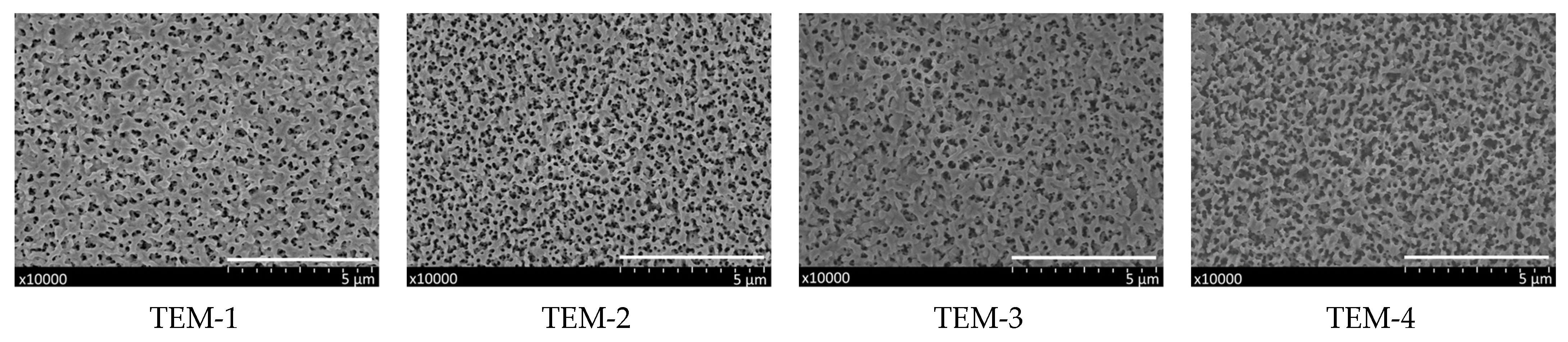 Membranes 11 00949 g004