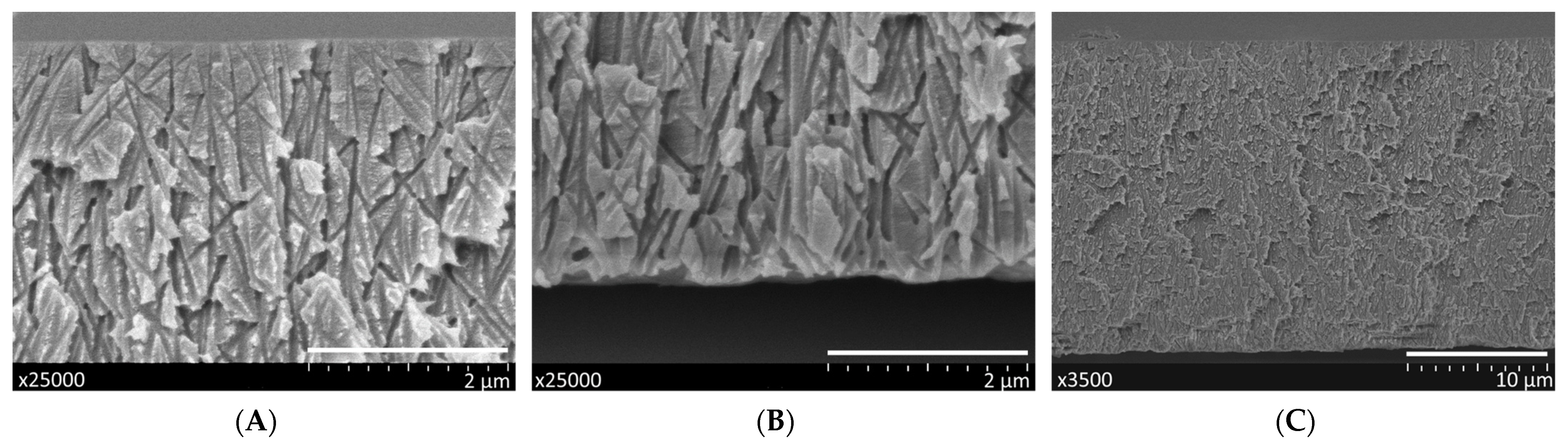 Membranes 11 00949 g005