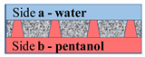 Membranes 11 00949 i001