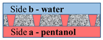 Membranes 11 00949 i002