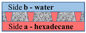 Membranes 11 00949 i008