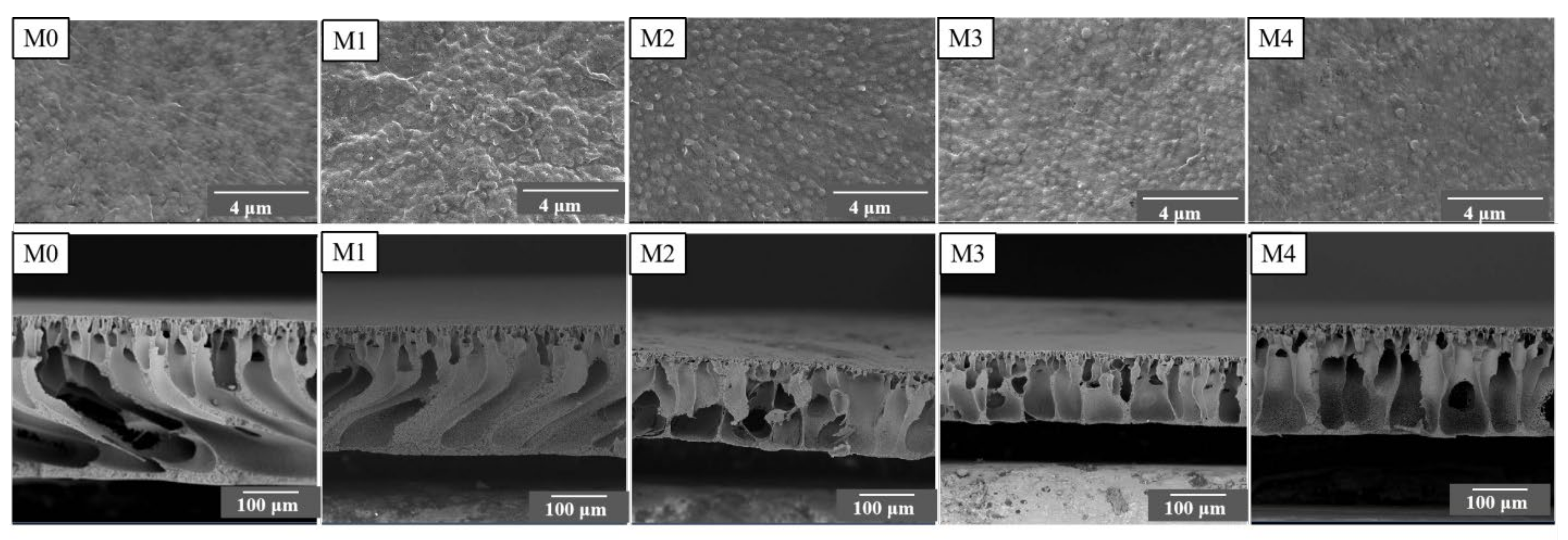 Membranes 11 00951 g002