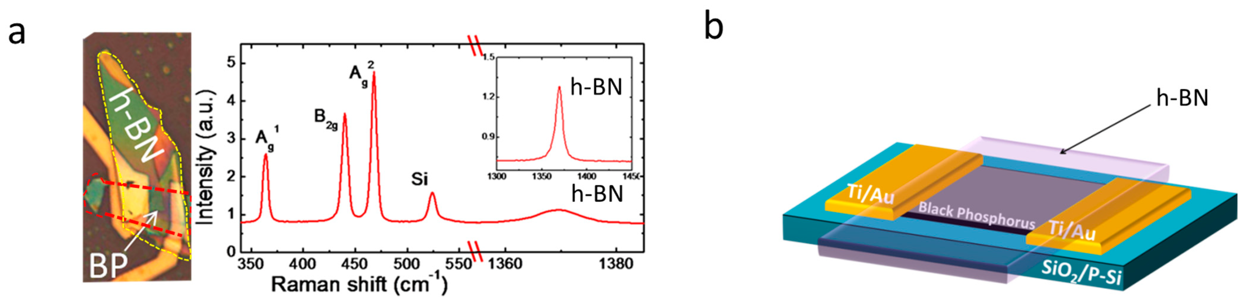 Membranes 11 00952 g001