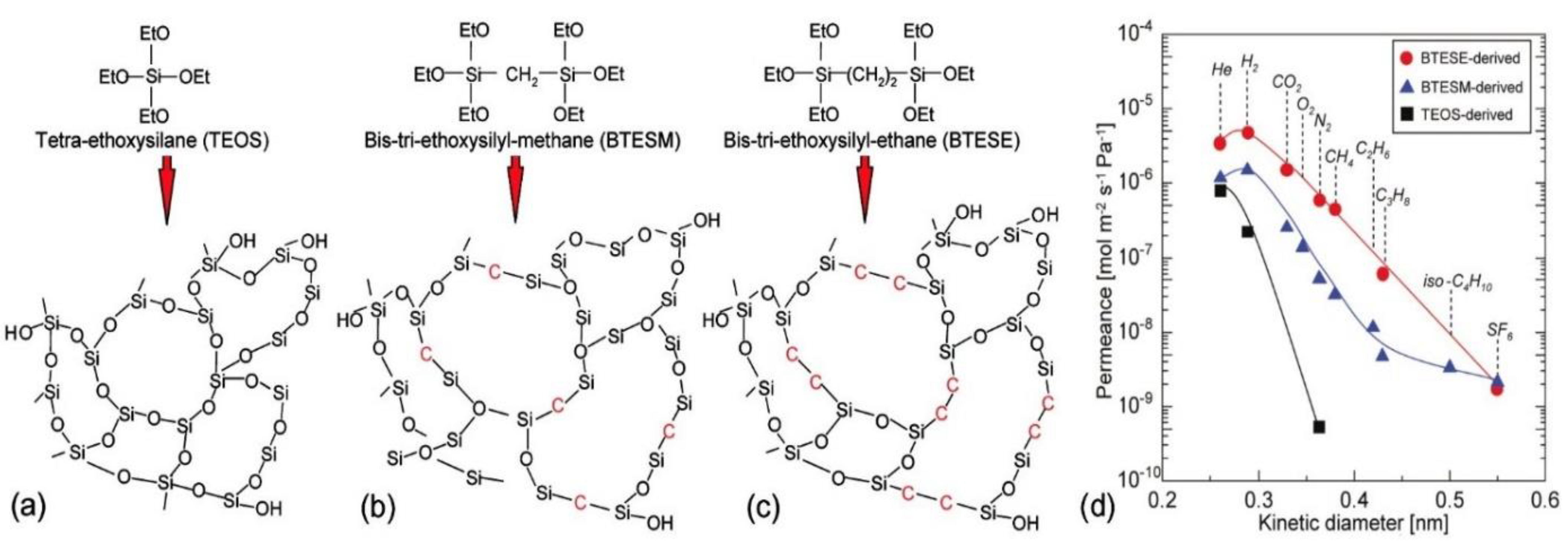 Membranes 11 00955 g003