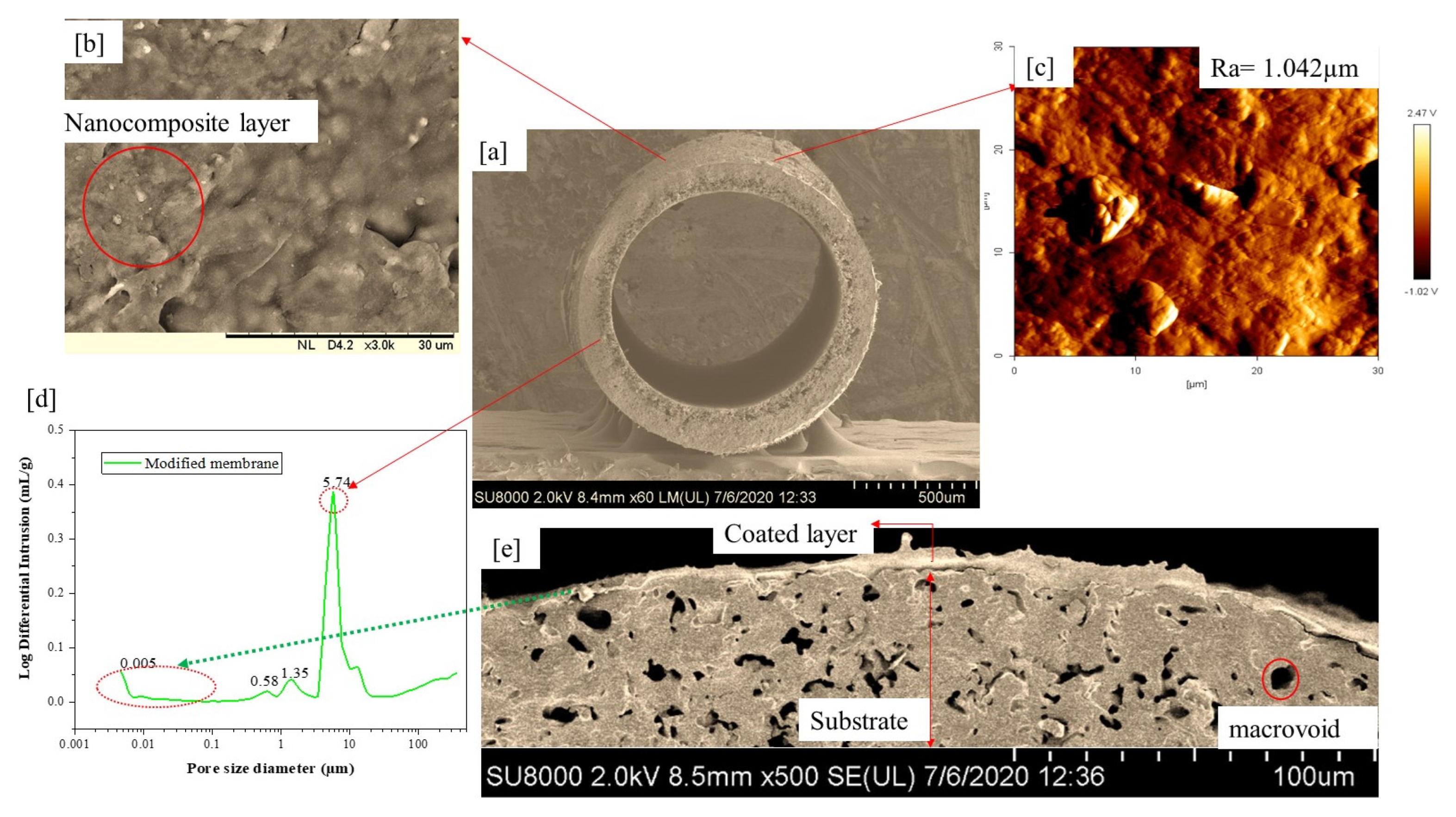 Membranes 11 00956 g001