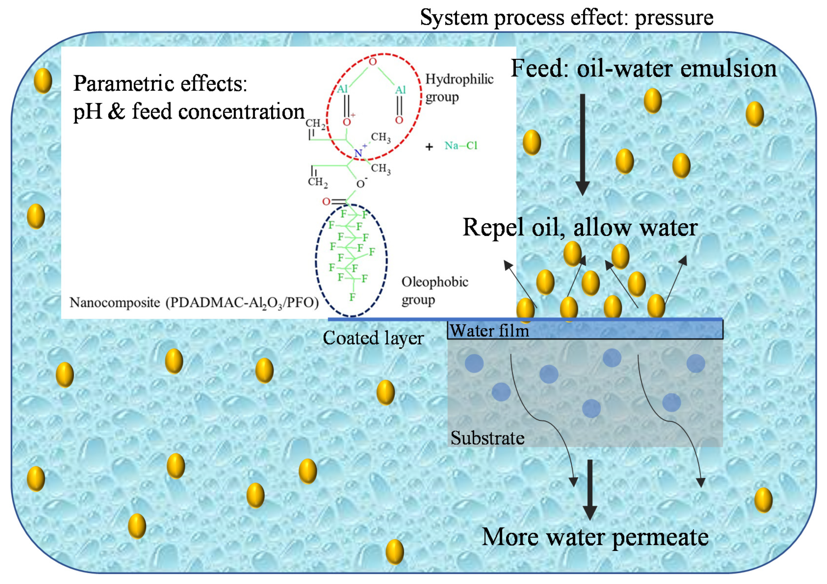 Membranes 11 00956 g003