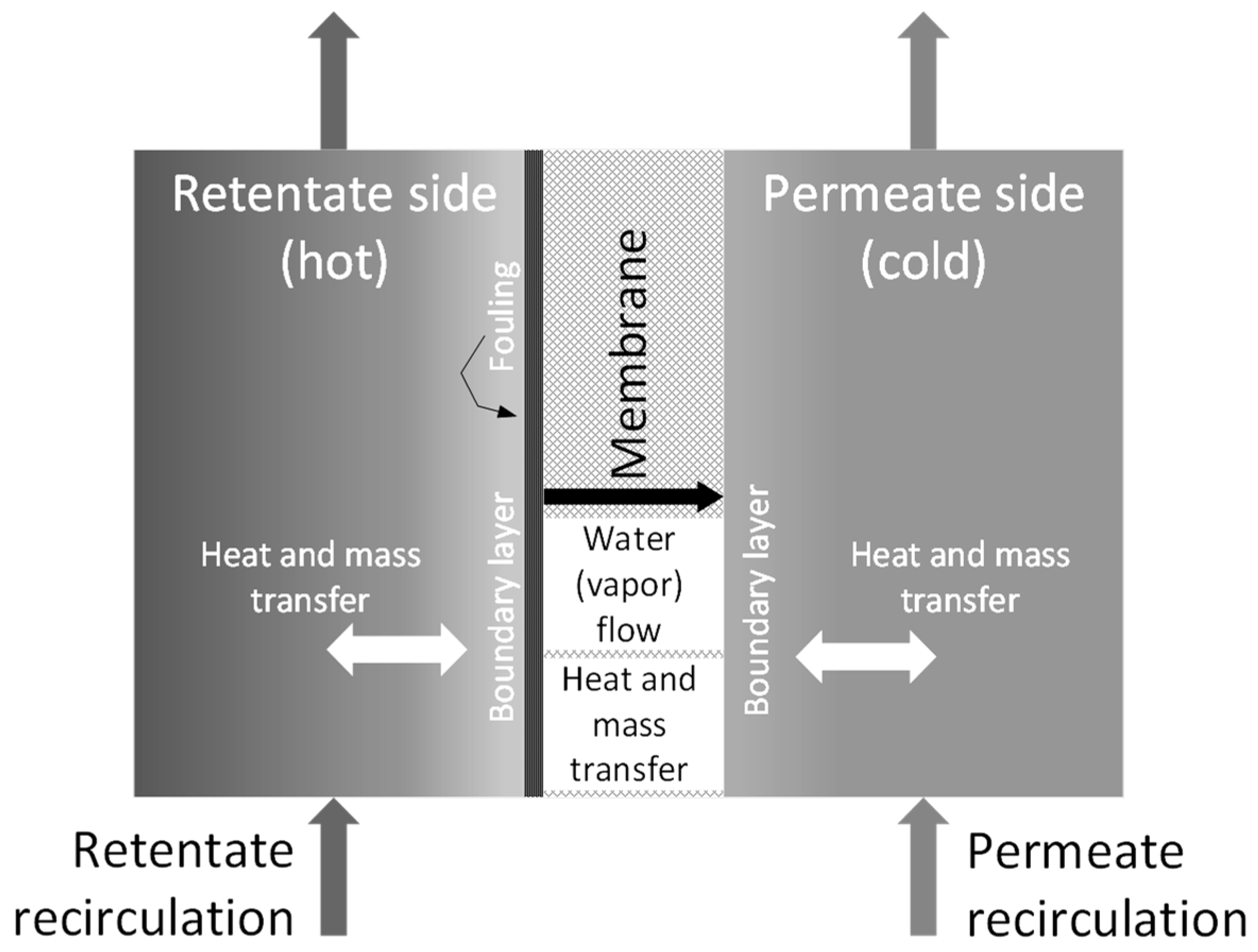 Membranes 11 00958 g002