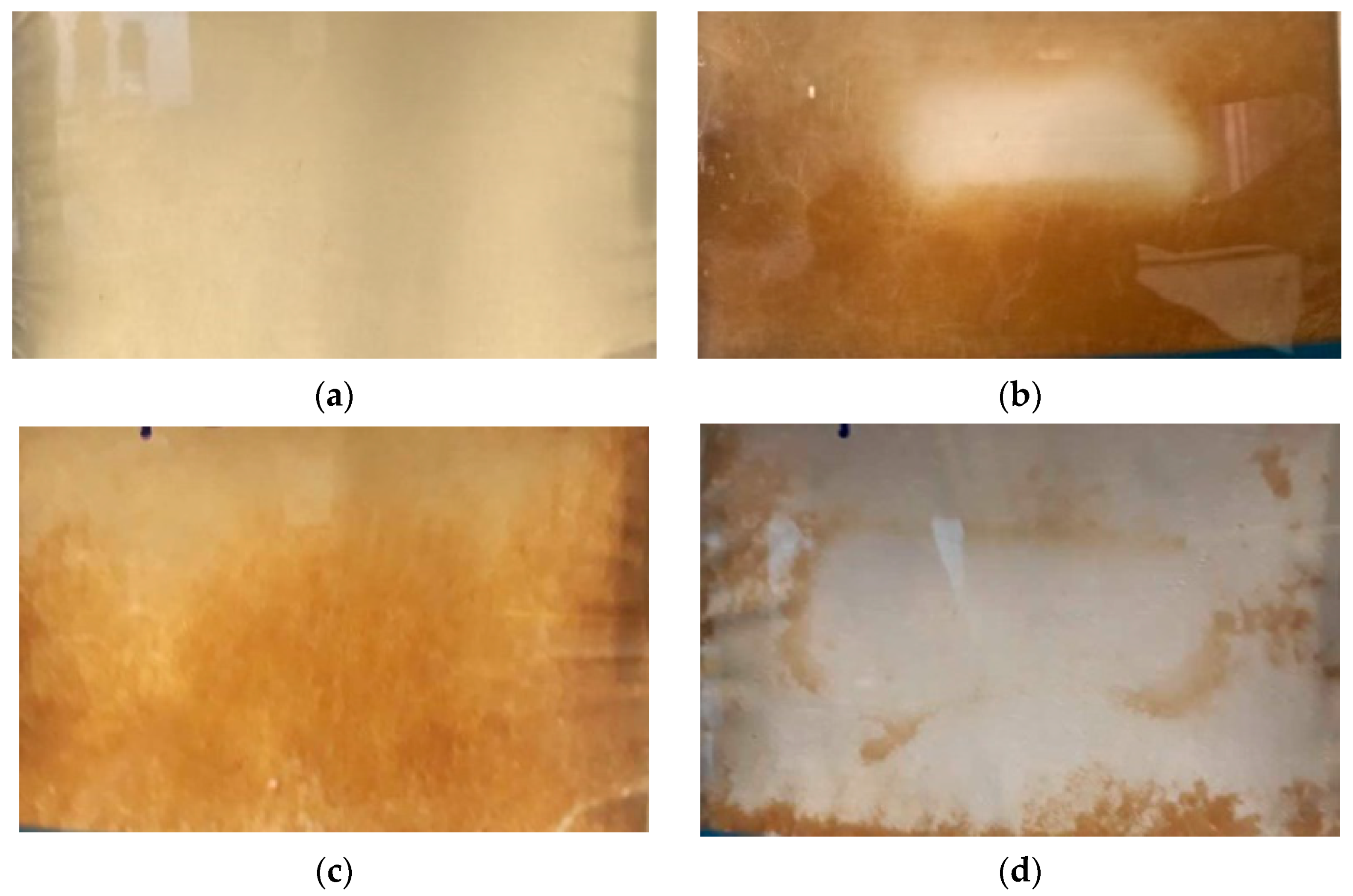 Membranes 11 00958 g005