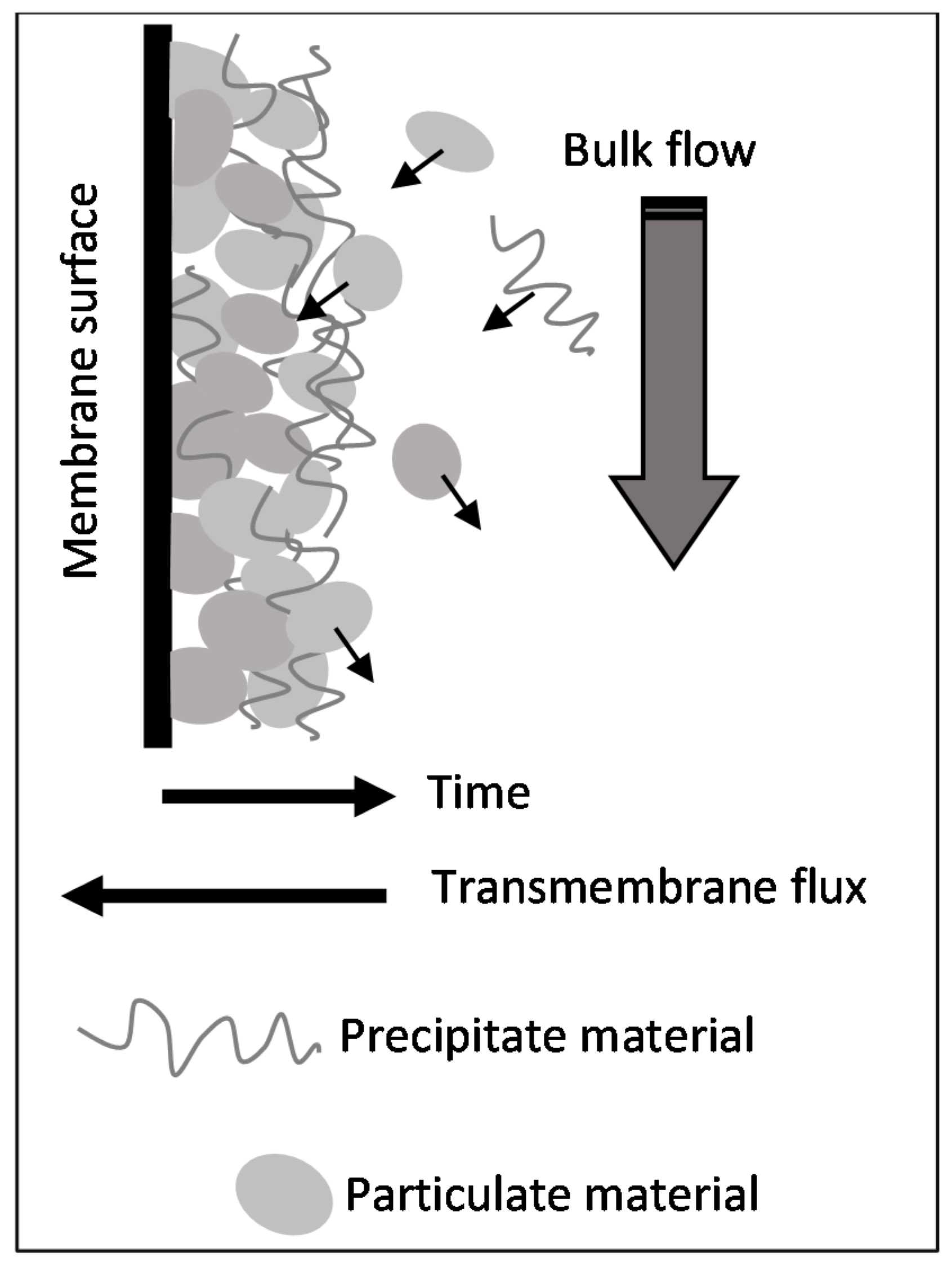 Membranes 11 00958 g010