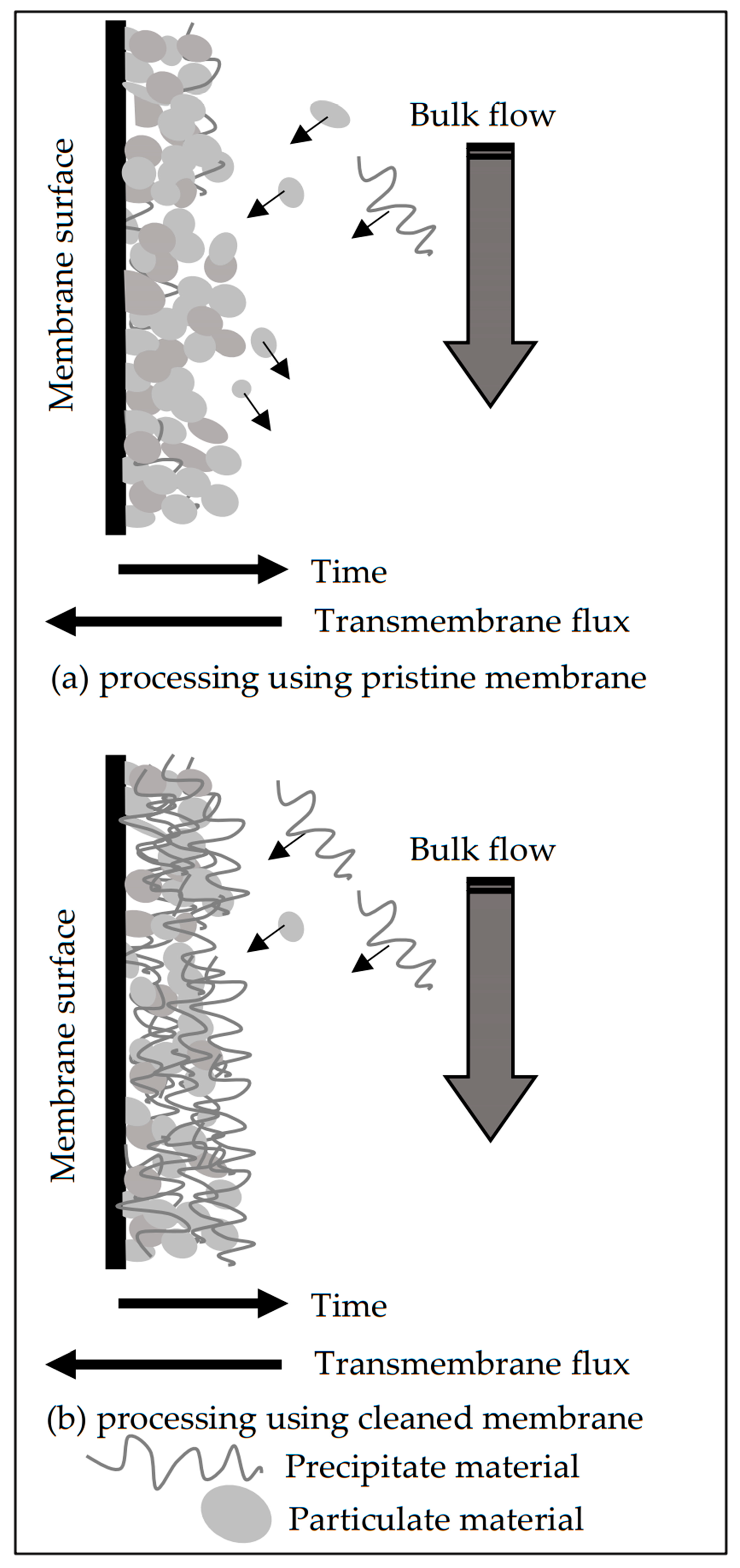 Membranes 11 00958 g014