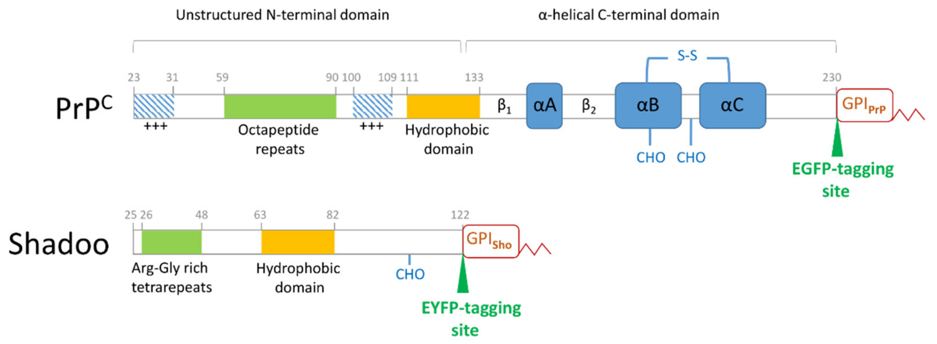 Membranes 11 00978 g001