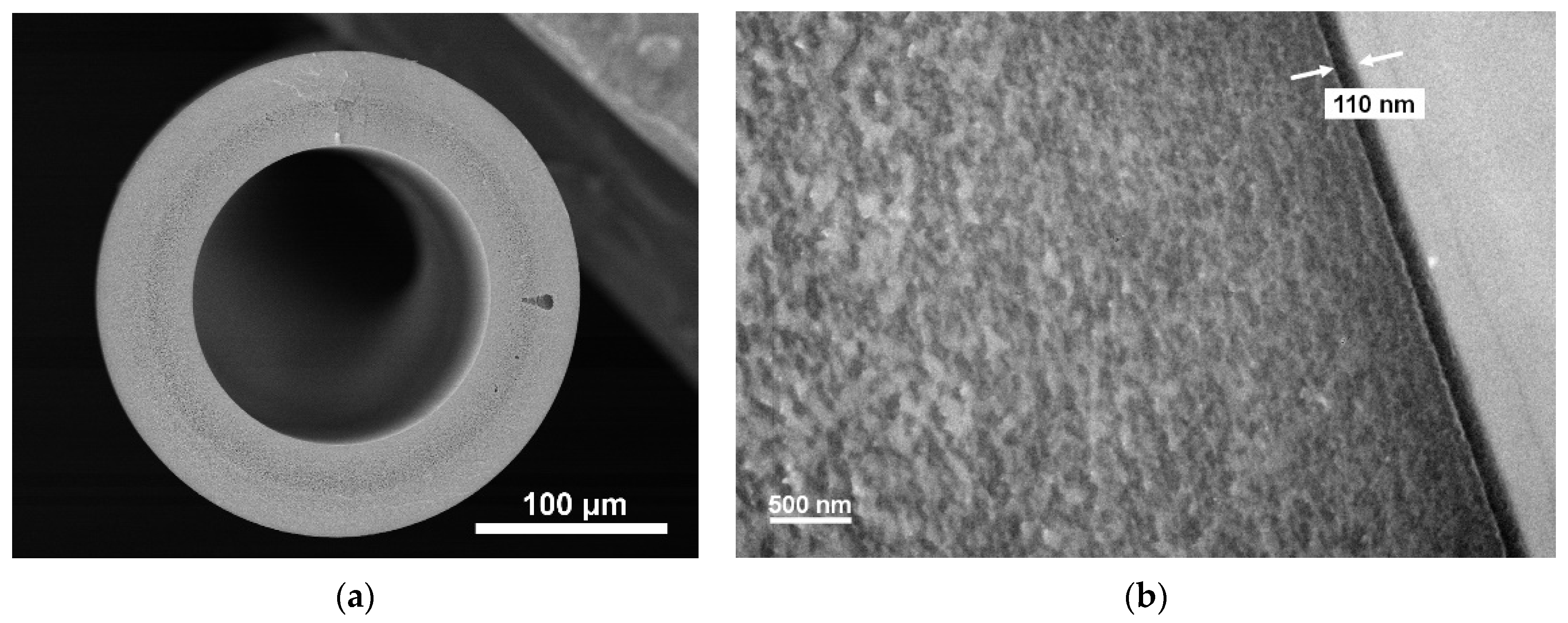 Membranes 11 00981 g003