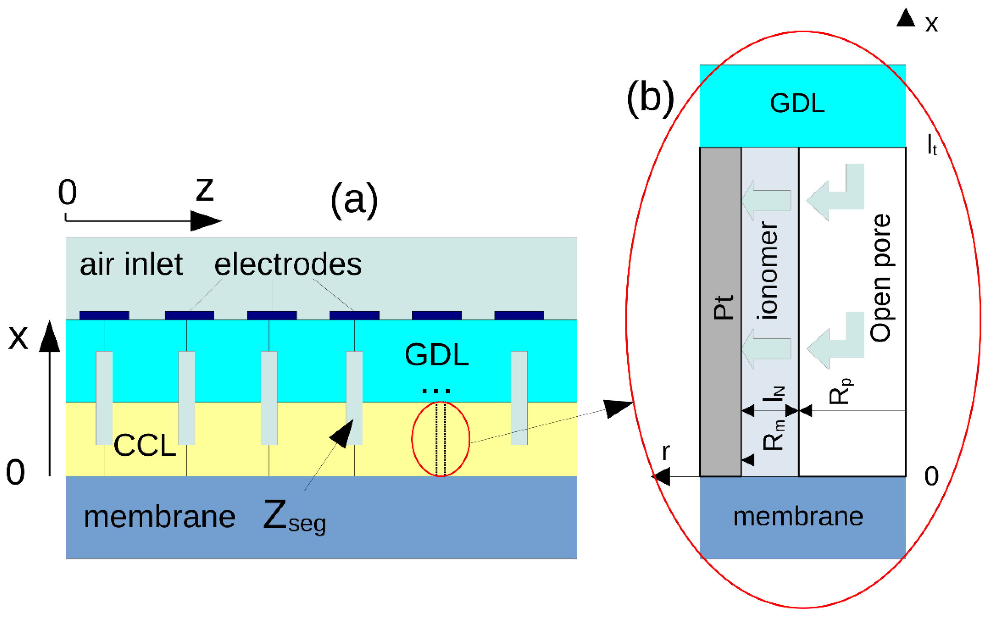 Membranes 11 00985 g002