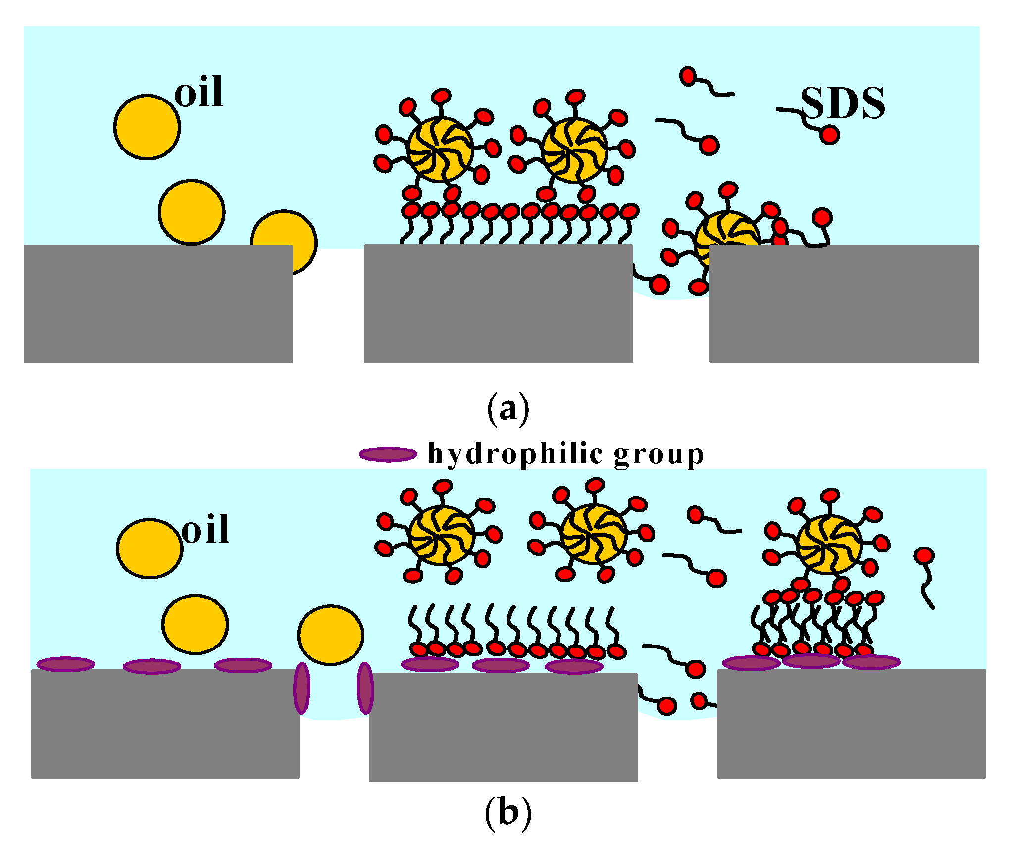 Membranes 11 00988 g001