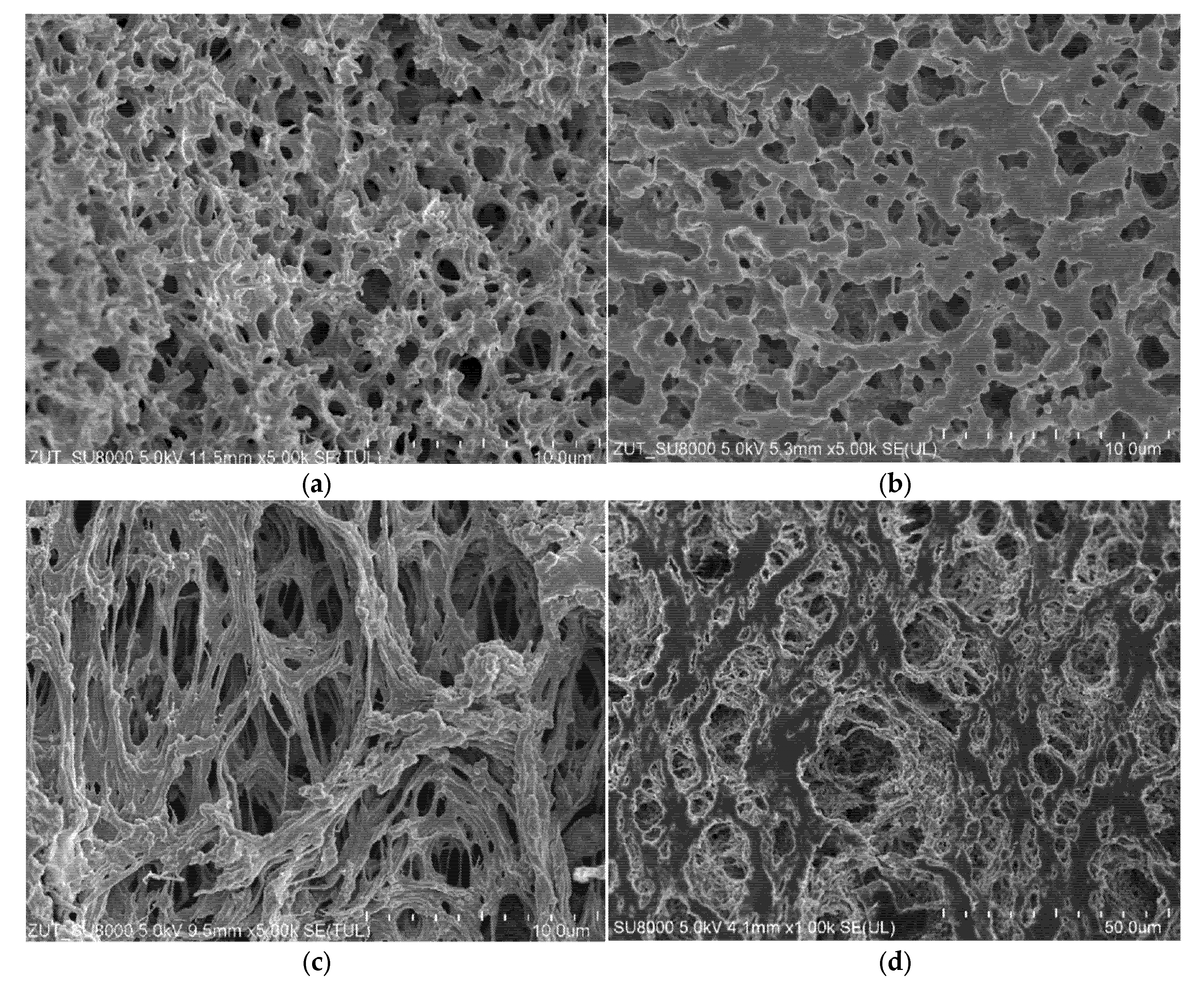 Membranes 11 00988 g014