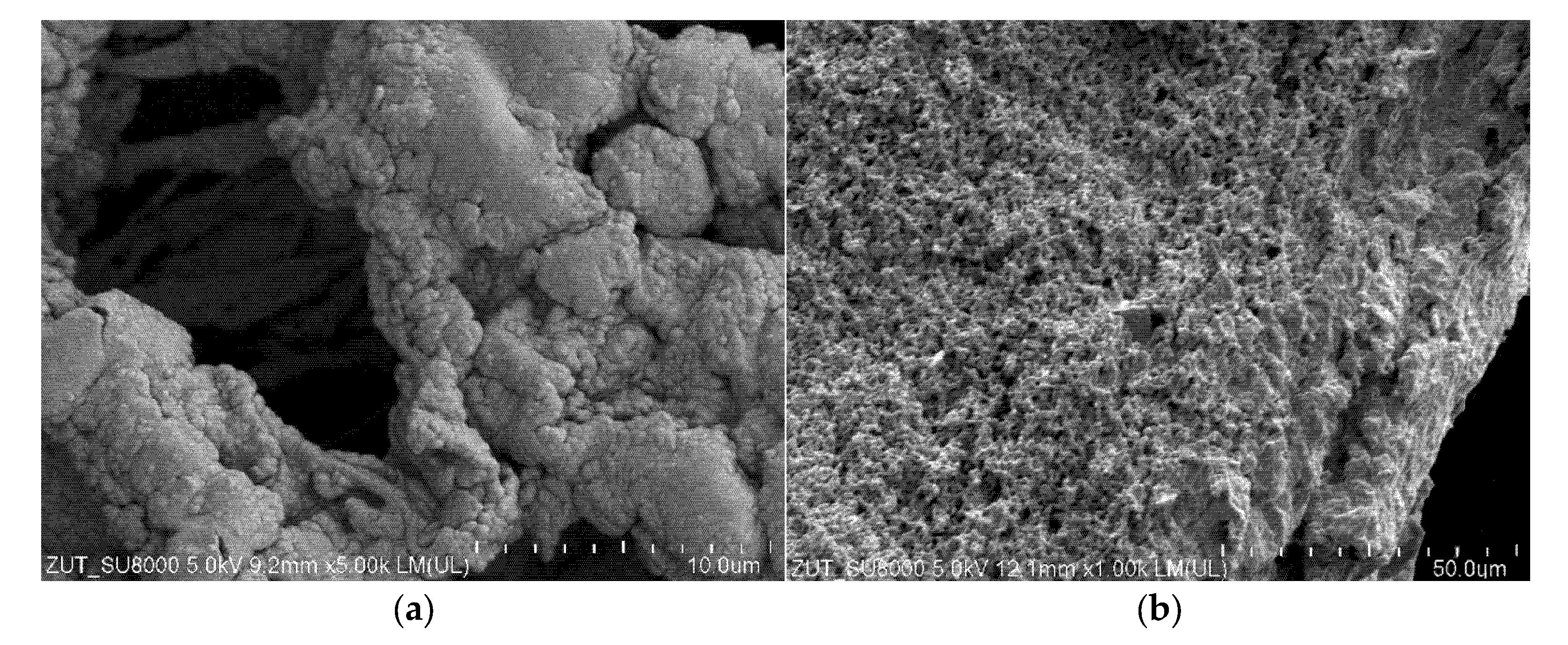 Membranes 11 00988 g017a