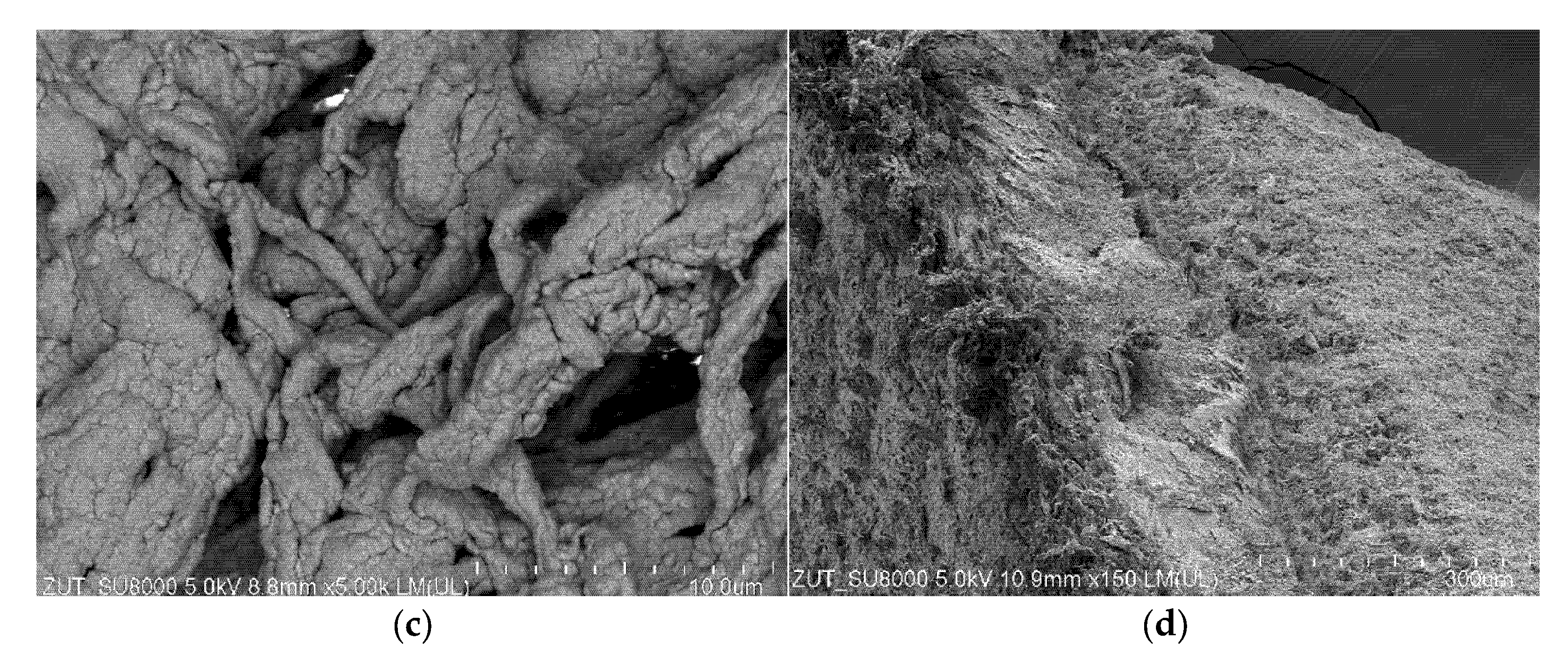 Membranes 11 00988 g017b