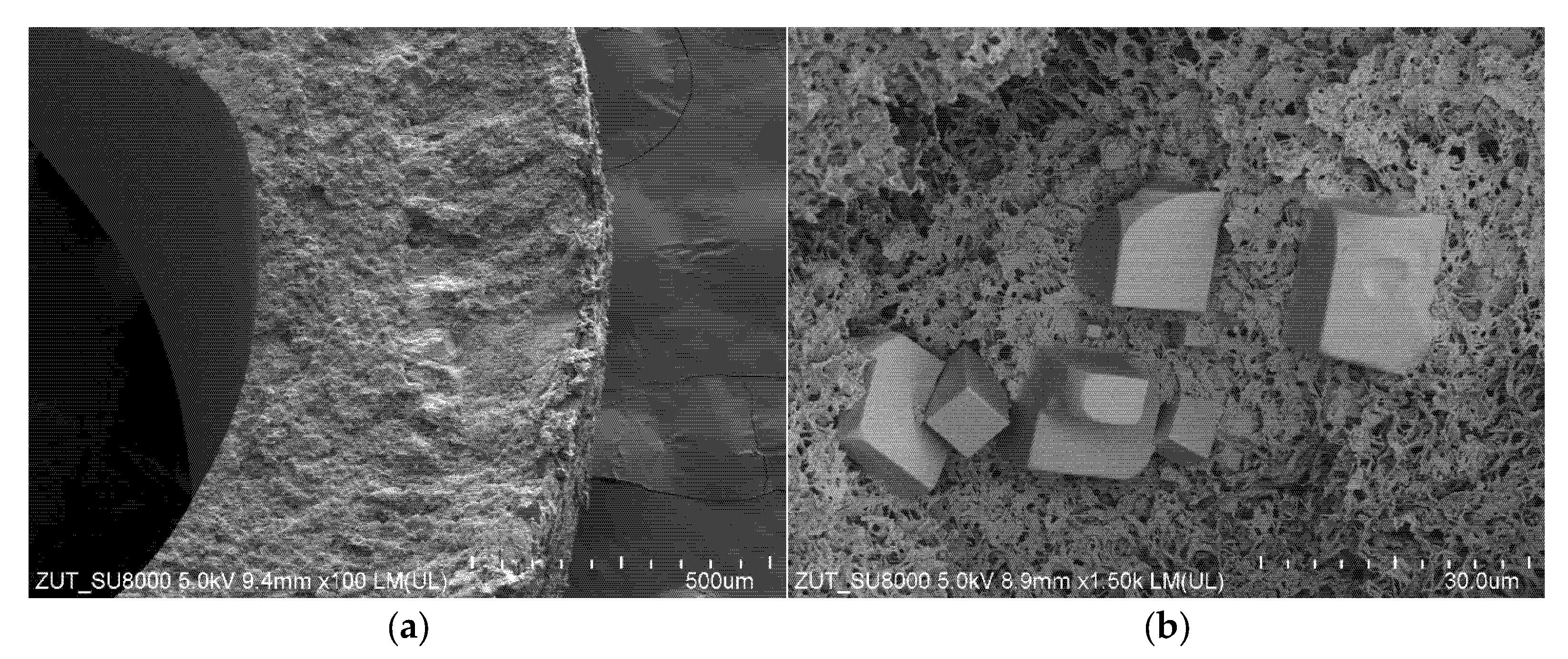 Membranes 11 00988 g018