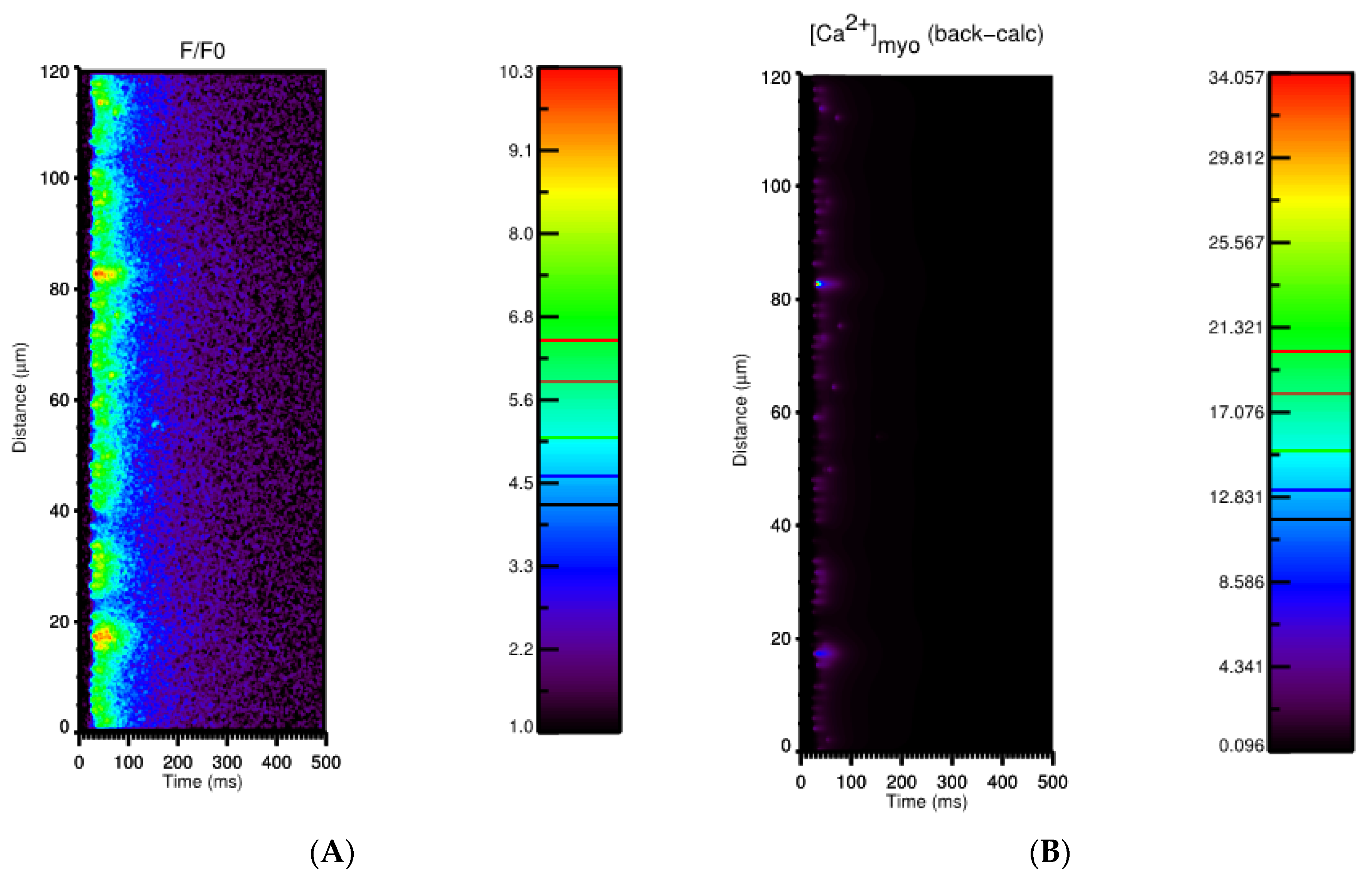 Membranes 11 00989 g004a