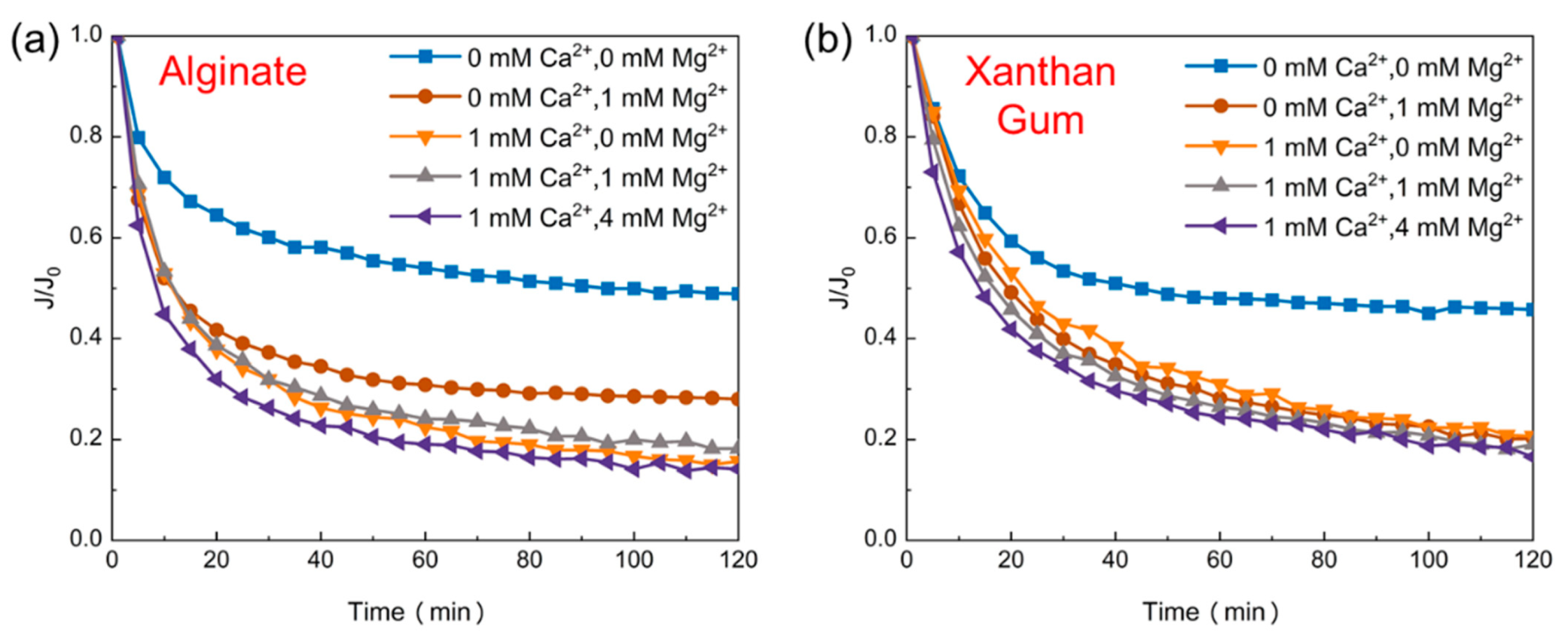 Membranes 11 00990 g001