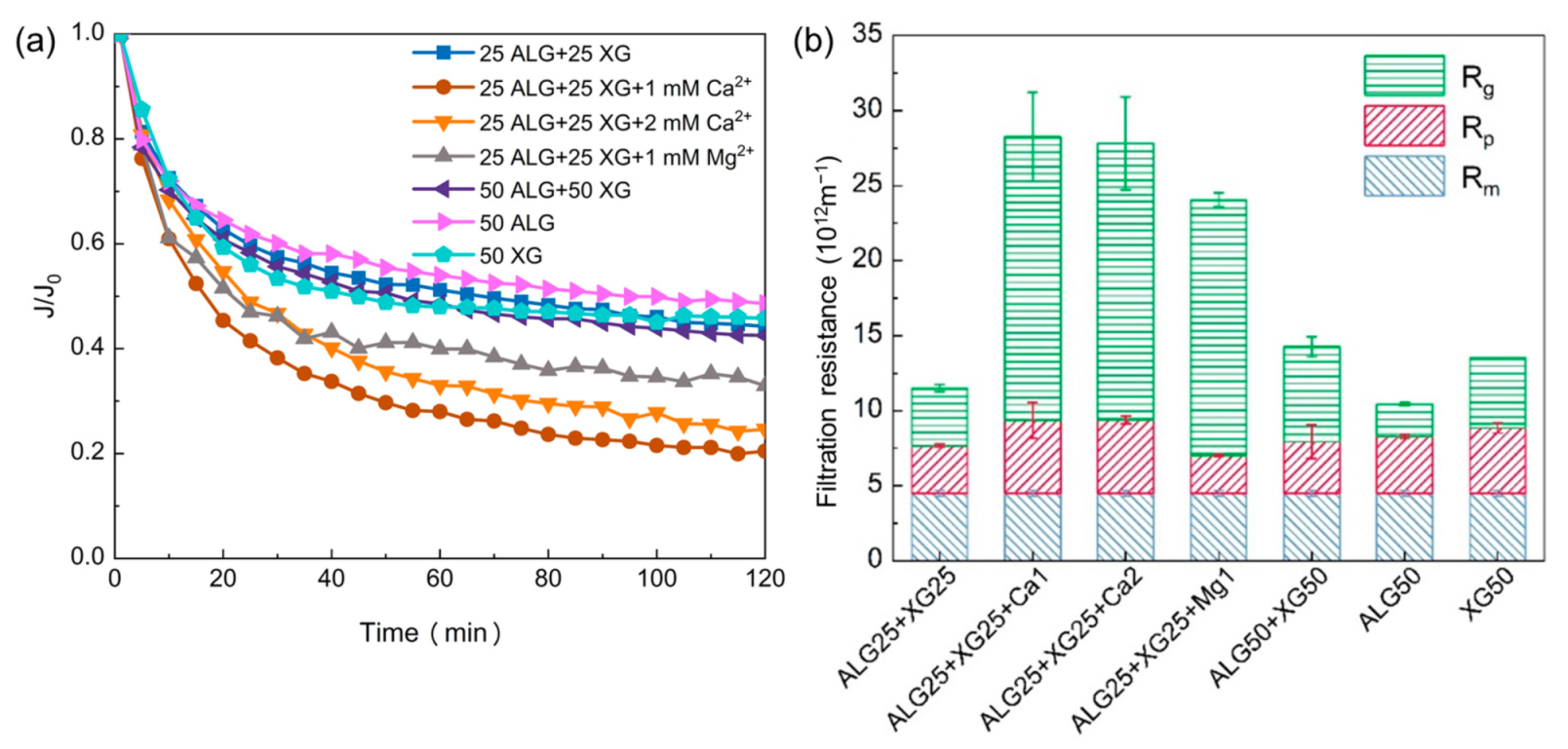 Membranes 11 00990 g002