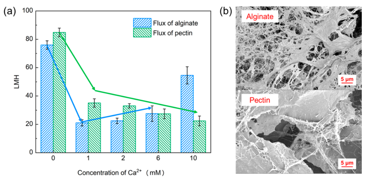 Membranes 11 00990 g003