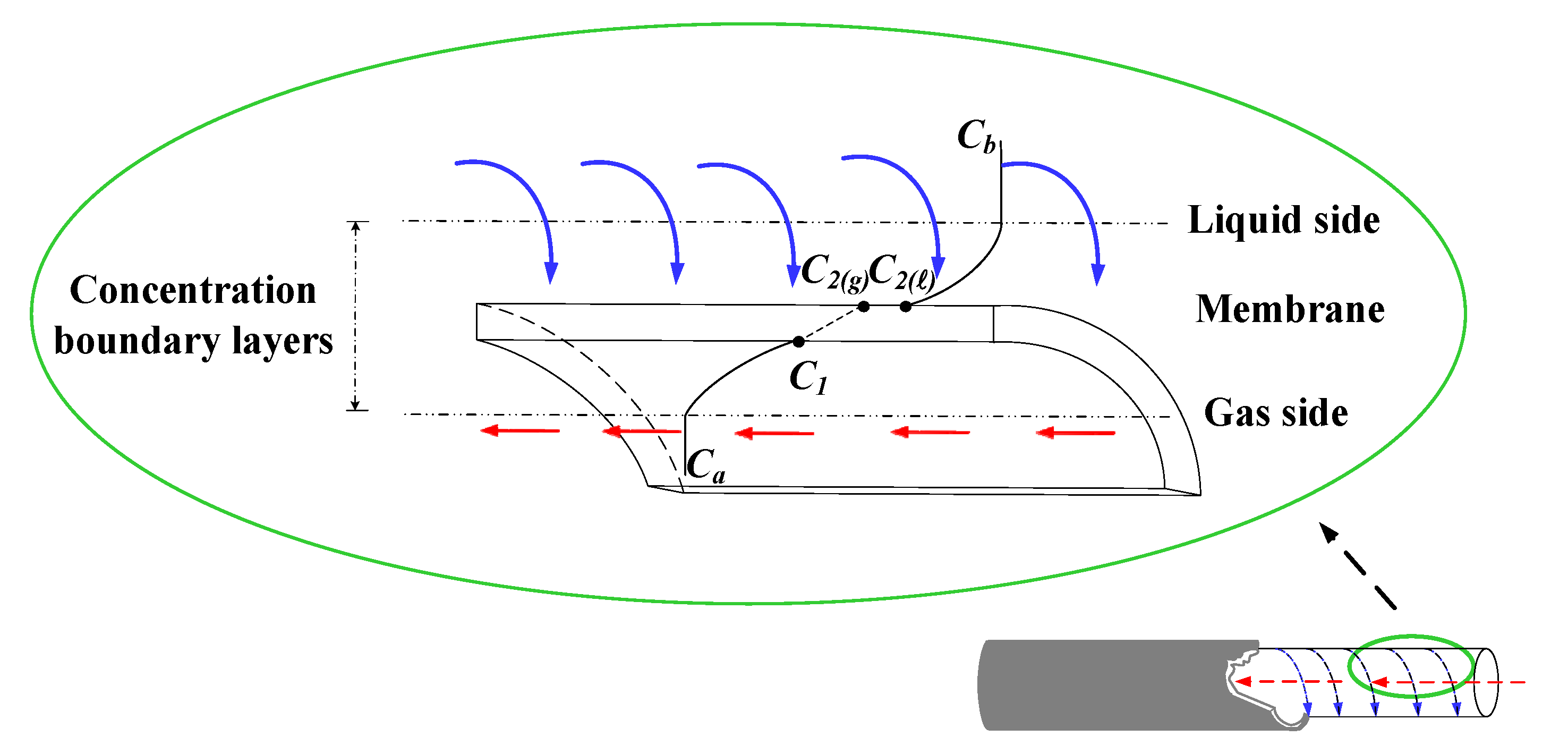 Membranes 12 00004 g003