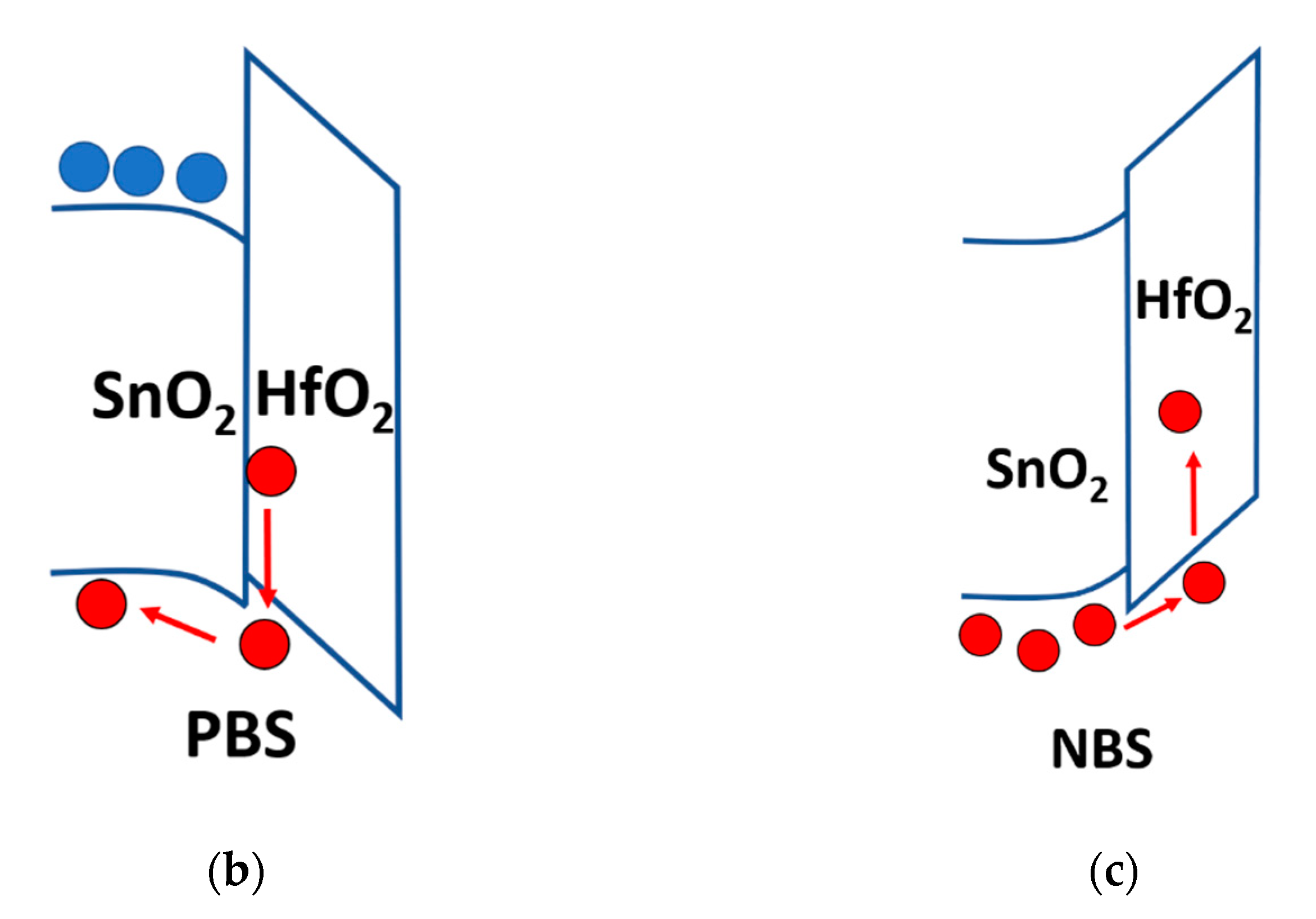 Membranes 12 00007 g006b