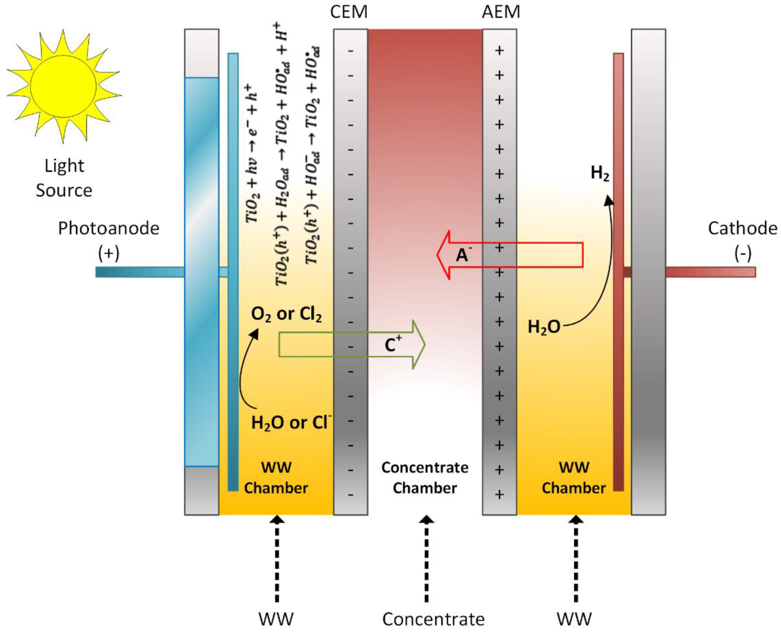Membranes 12 00010 g001
