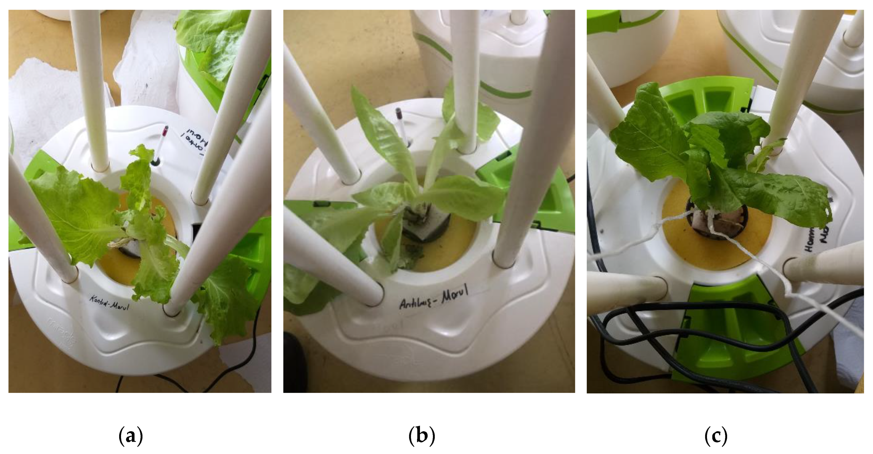 Membranes 12 00010 g010