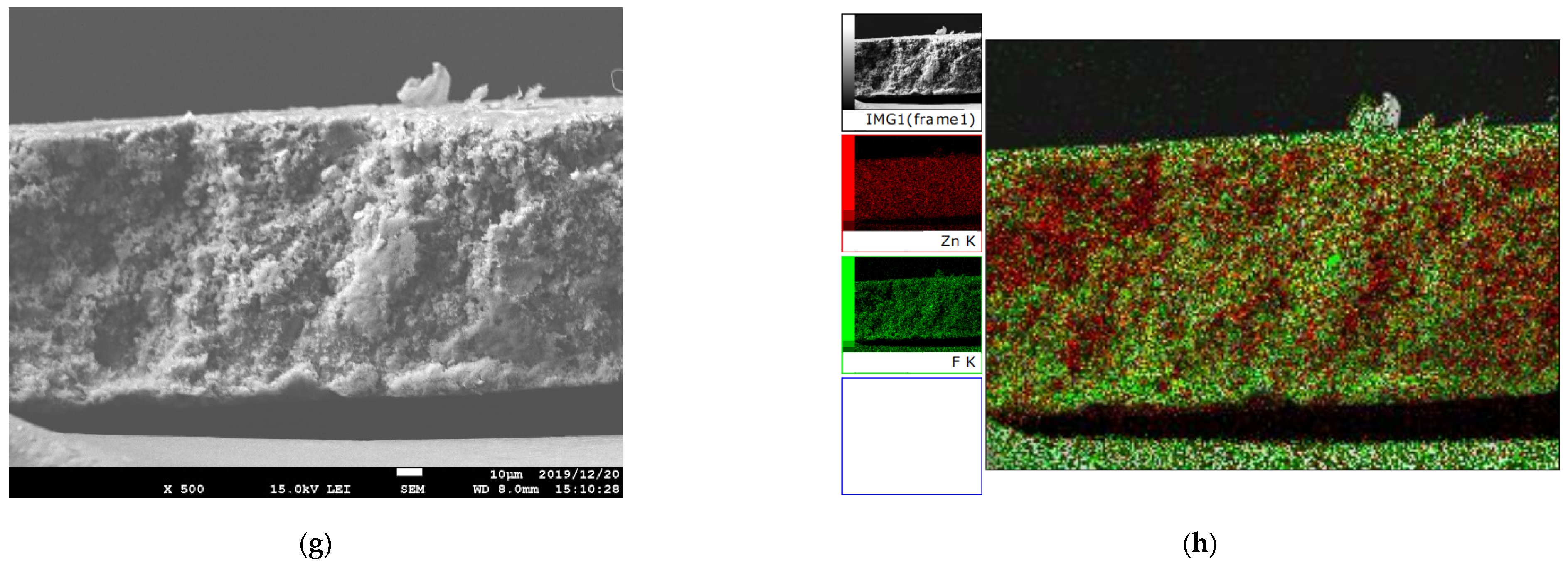 Membranes 12 00013 g005b