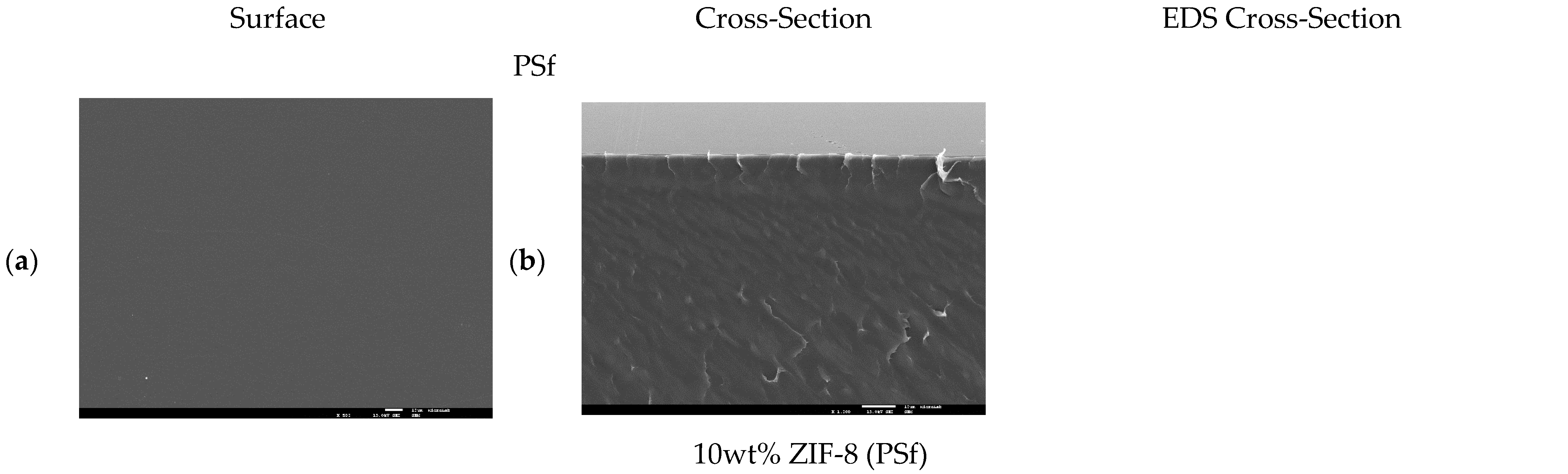 Membranes 12 00013 g0a8a