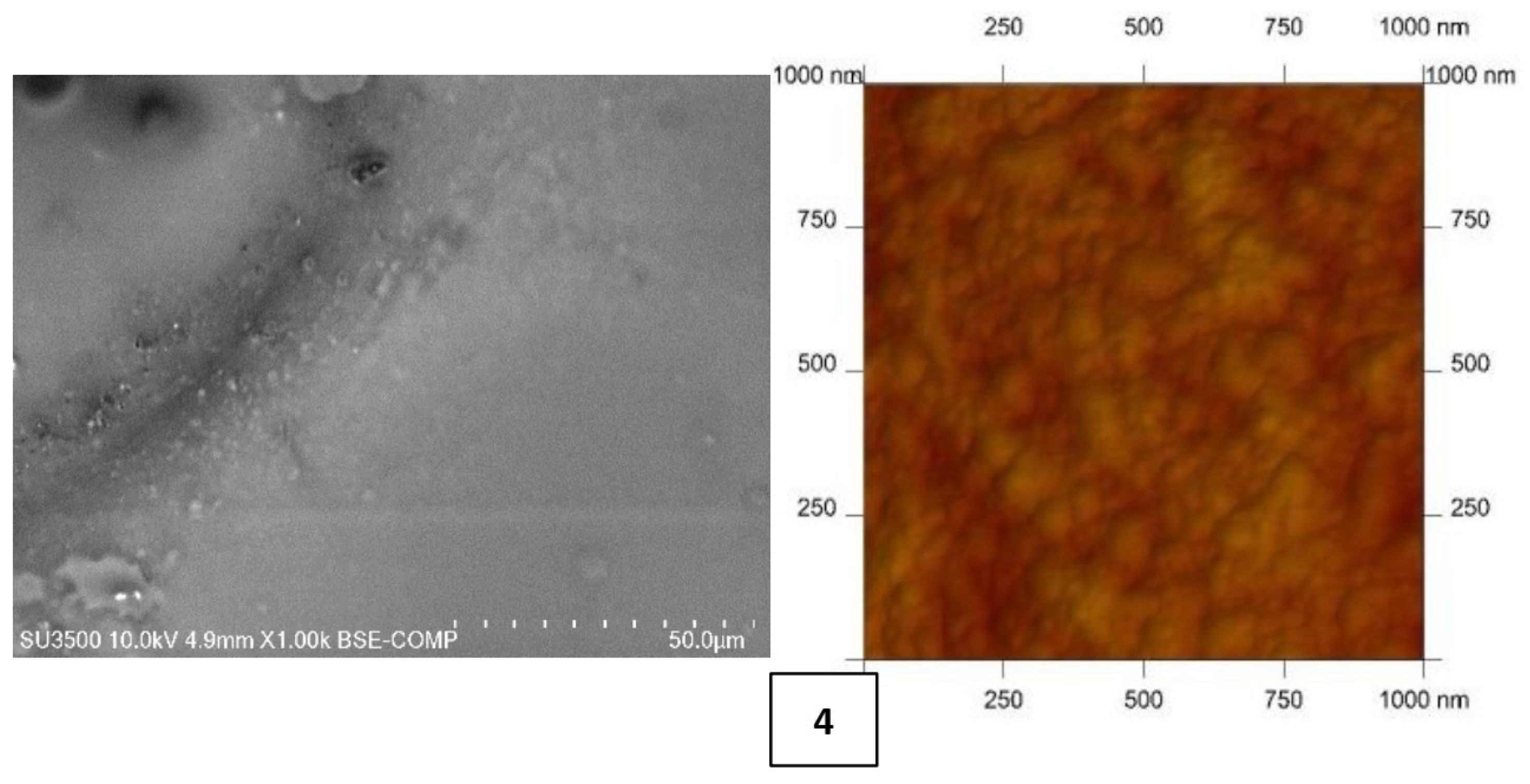 Membranes 12 00016 g001b