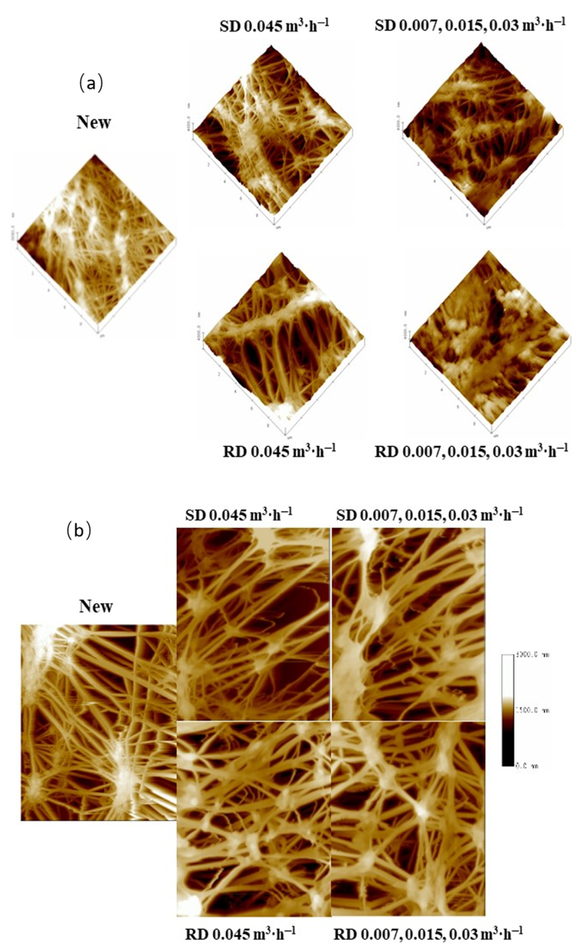 Membranes 12 00019 g006