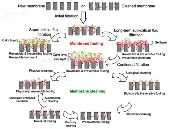 Membranes 12 00026 g003 550