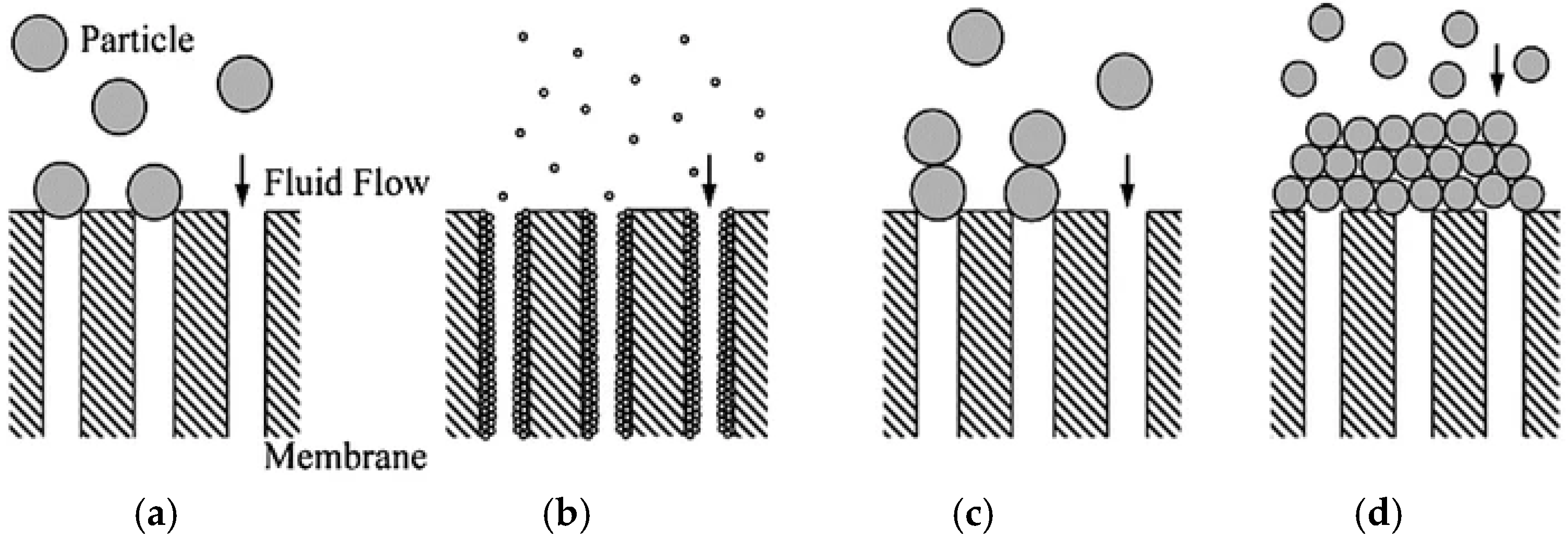 Membranes 12 00030 g003 Membranes 12 00030 g003
