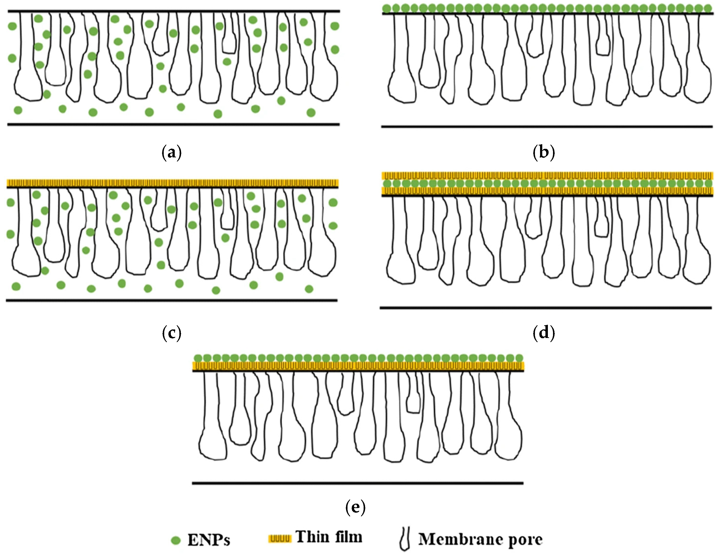 Membranes 12 00030 g005 Membranes 12 00030 g005