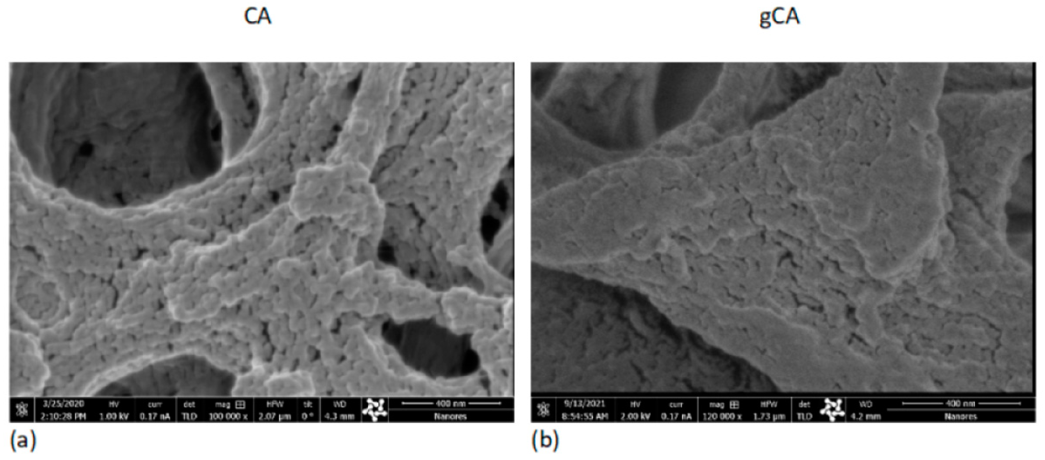 Membranes 12 00033 g005