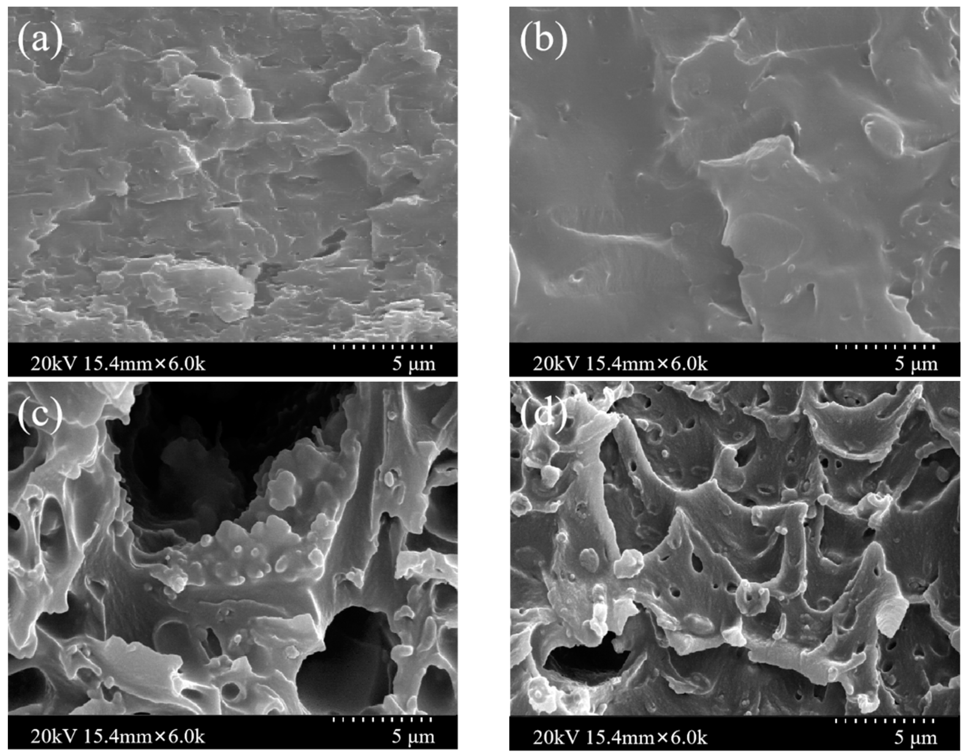 Membranes 12 00034 g003a