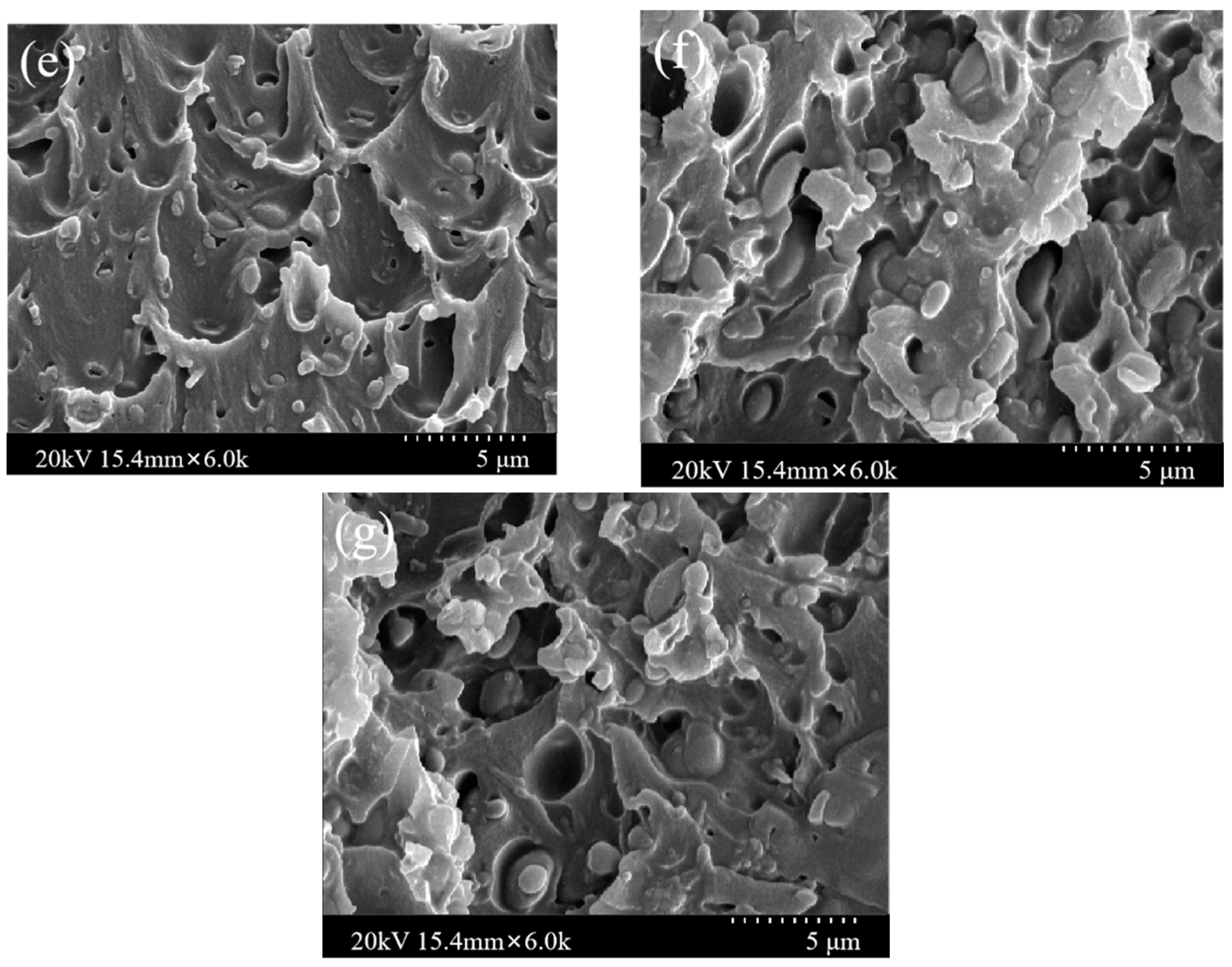 Membranes 12 00034 g003b