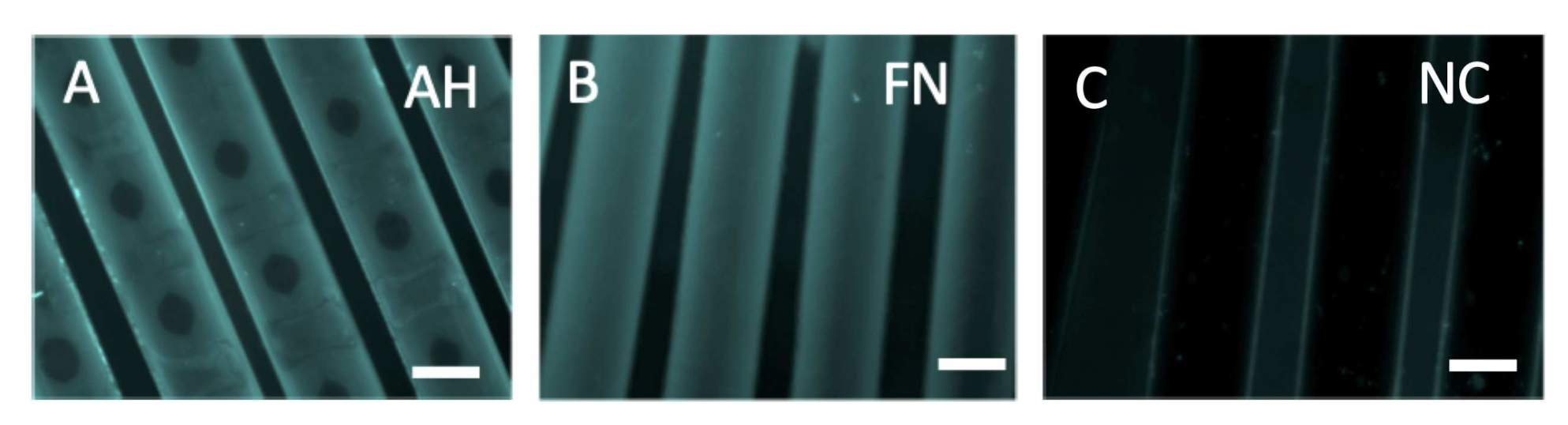 Membranes 12 00035 g001 Membranes 12 00035 g001