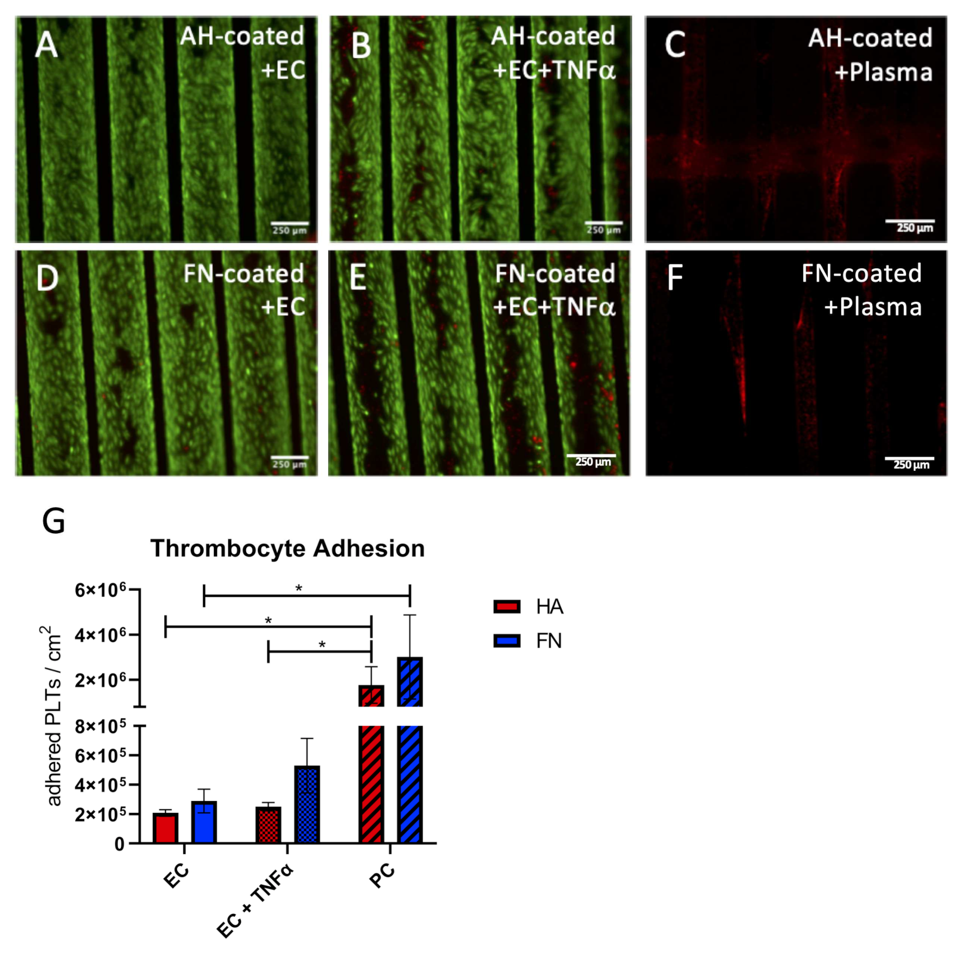 Membranes 12 00035 g005 Membranes 12 00035 g005
