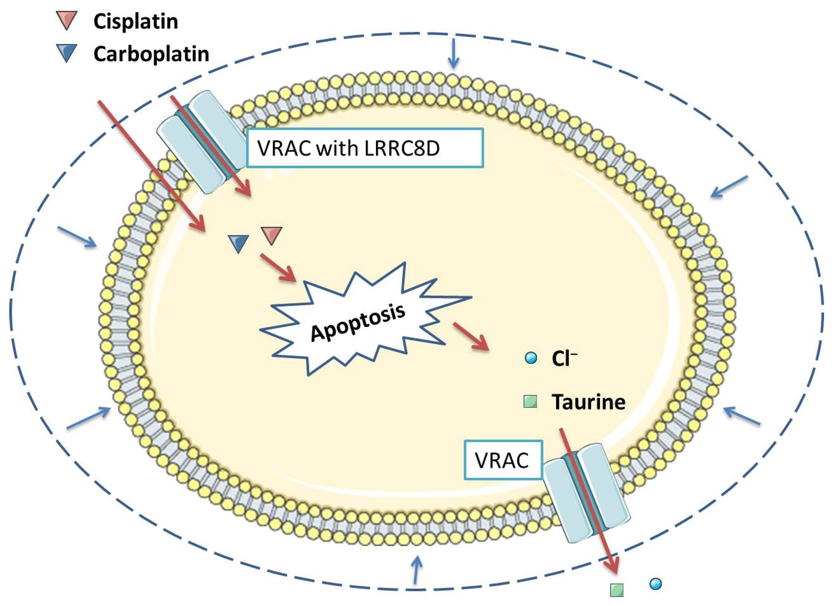 Membranes 12 00038 g002 Membranes 12 00038 g002