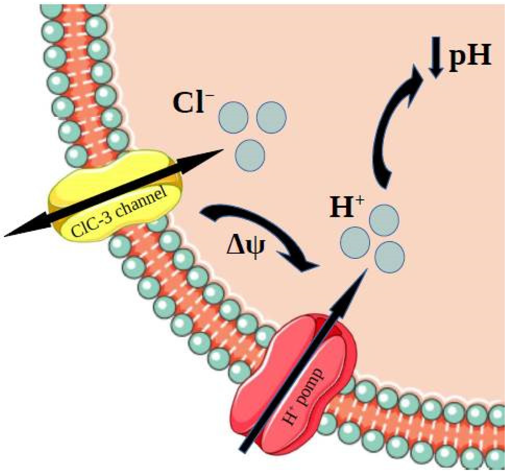 Membranes 12 00038 g004 Membranes 12 00038 g004