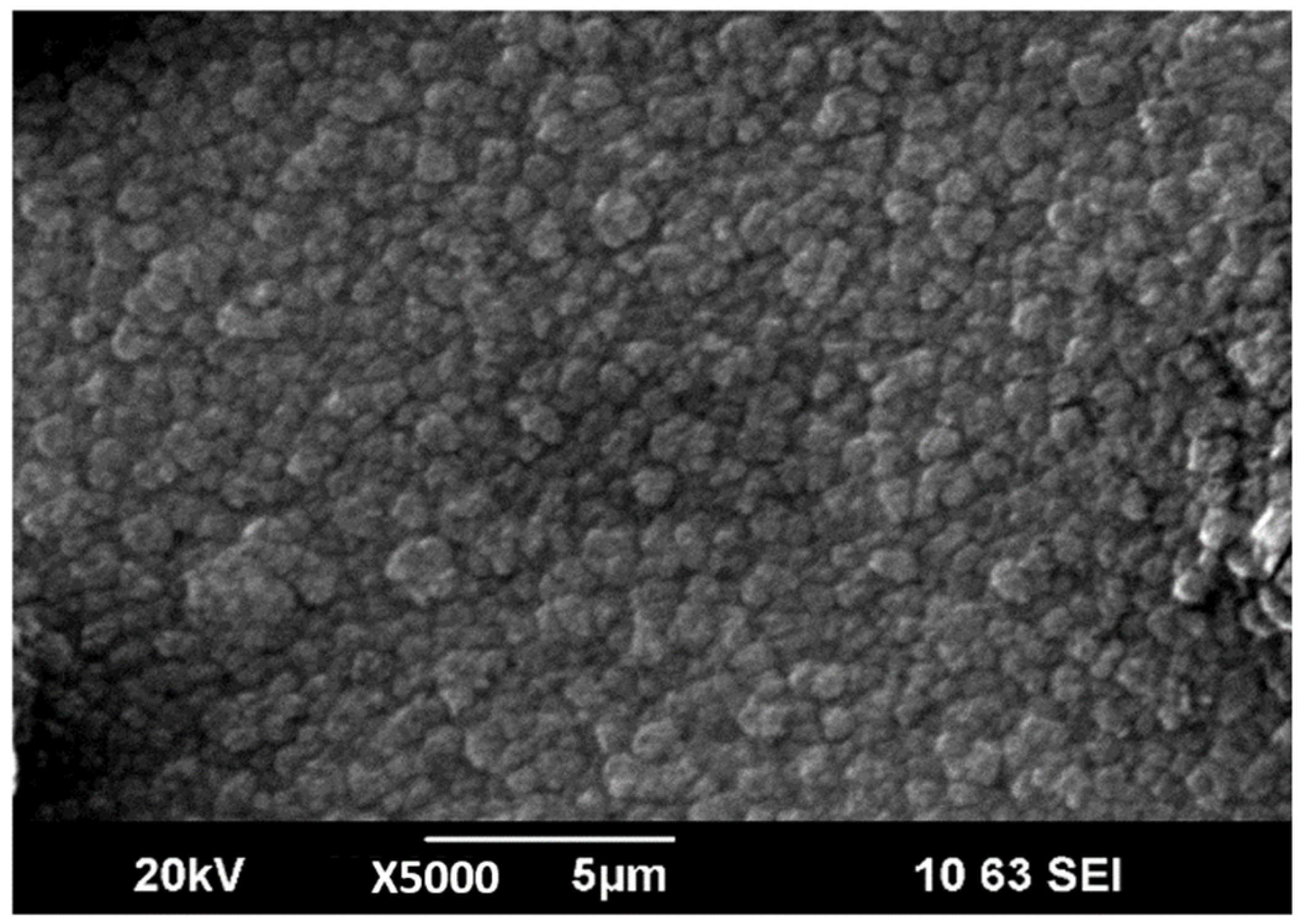 Membranes 12 00040 g004