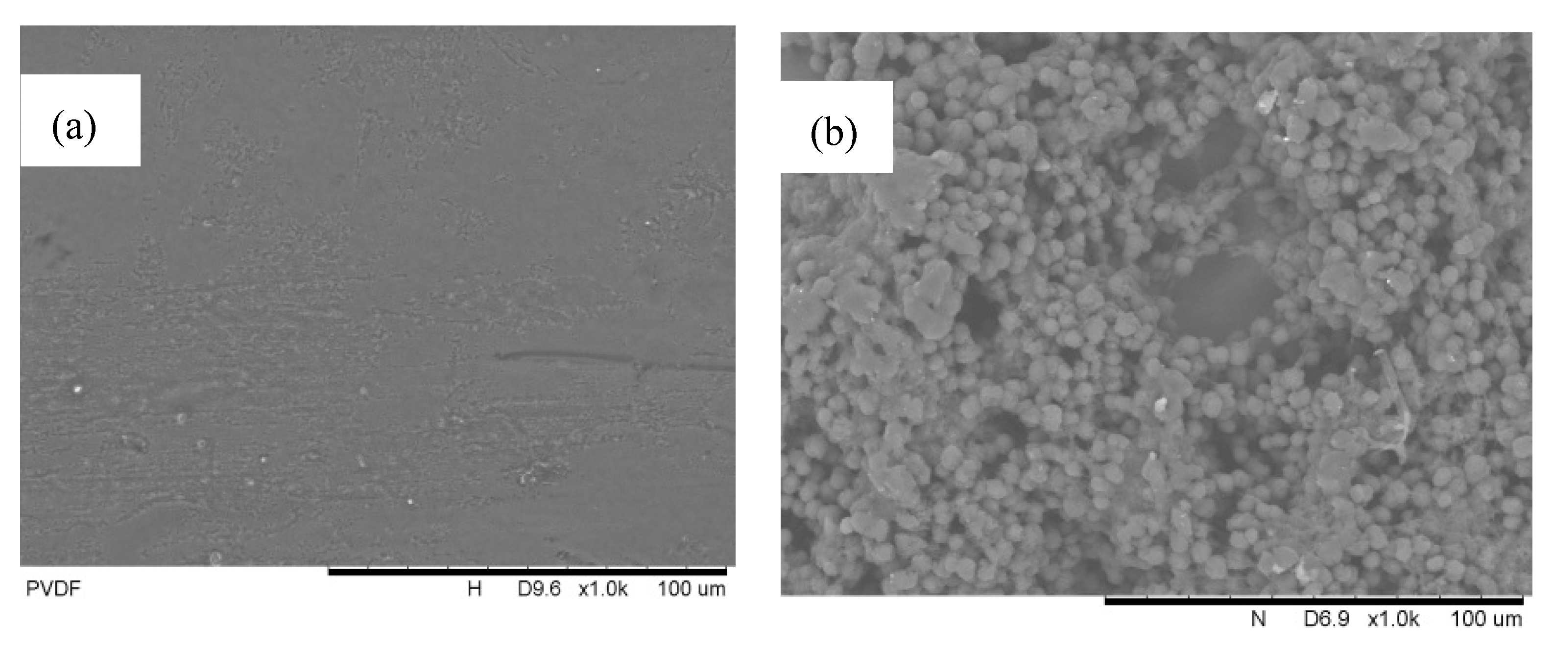 Membranes 12 00041 g002