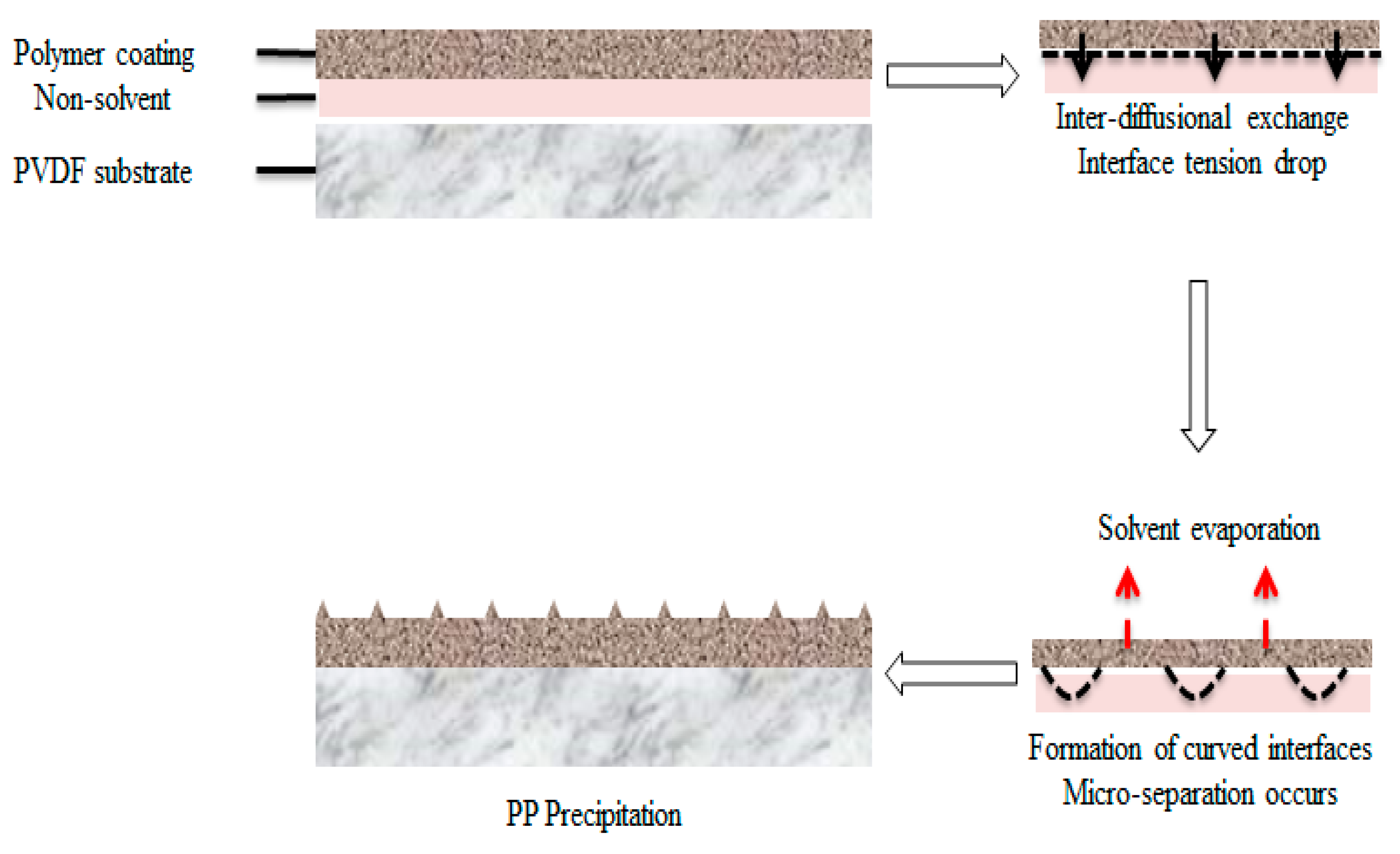 Membranes 12 00041 g003