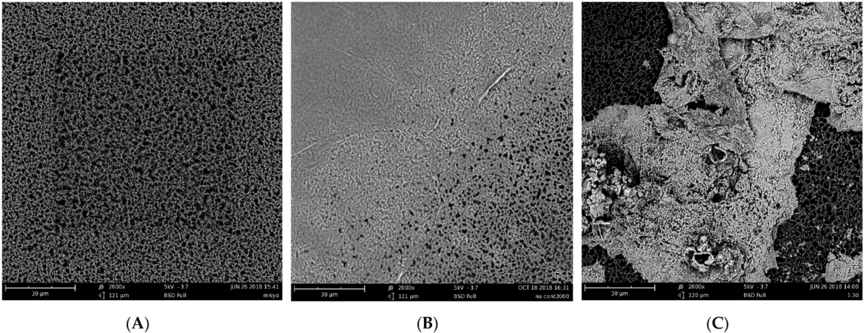 Membranes 12 00043 g001 Membranes 12 00043 g001