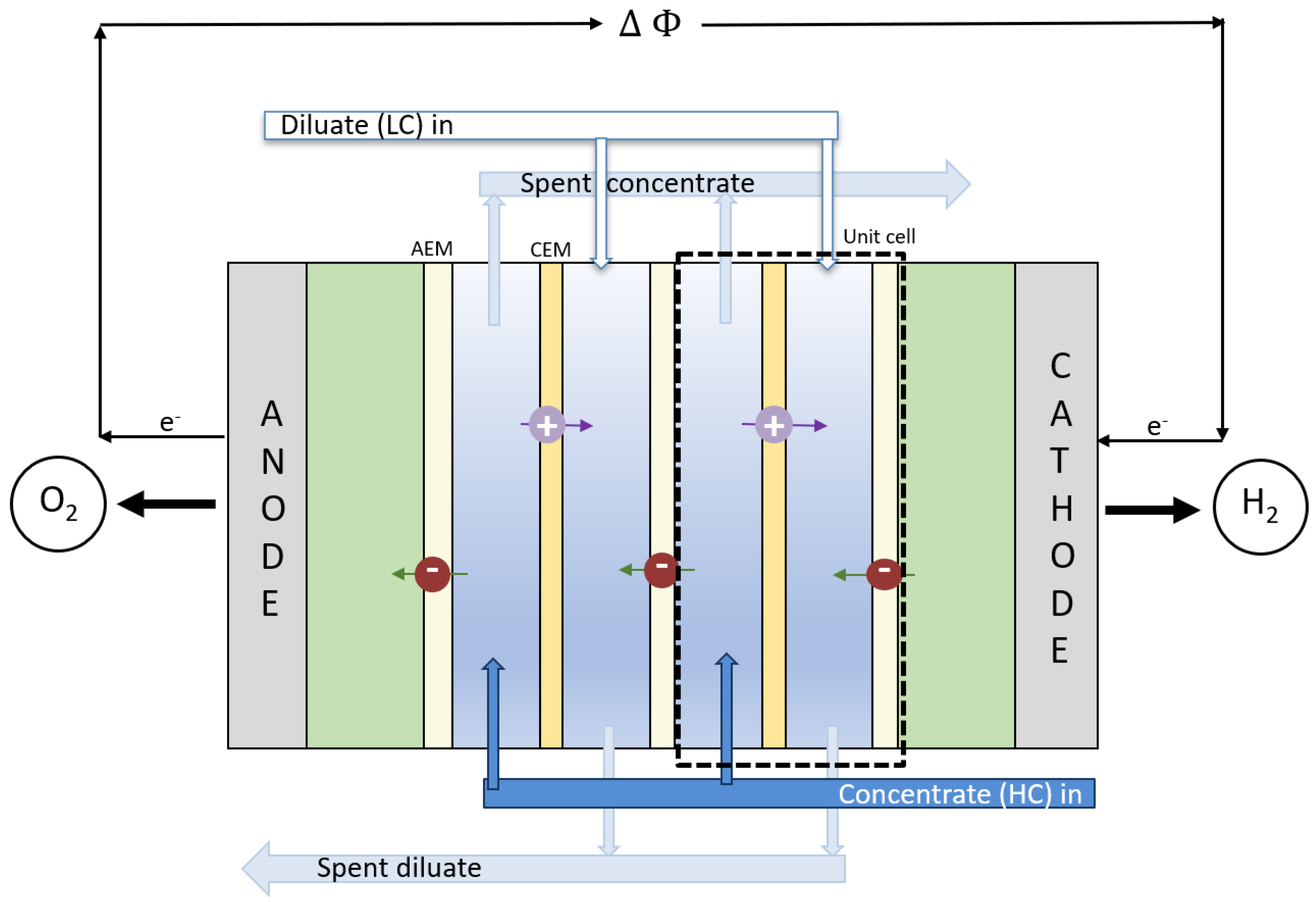 Membranes 12 00048 g001