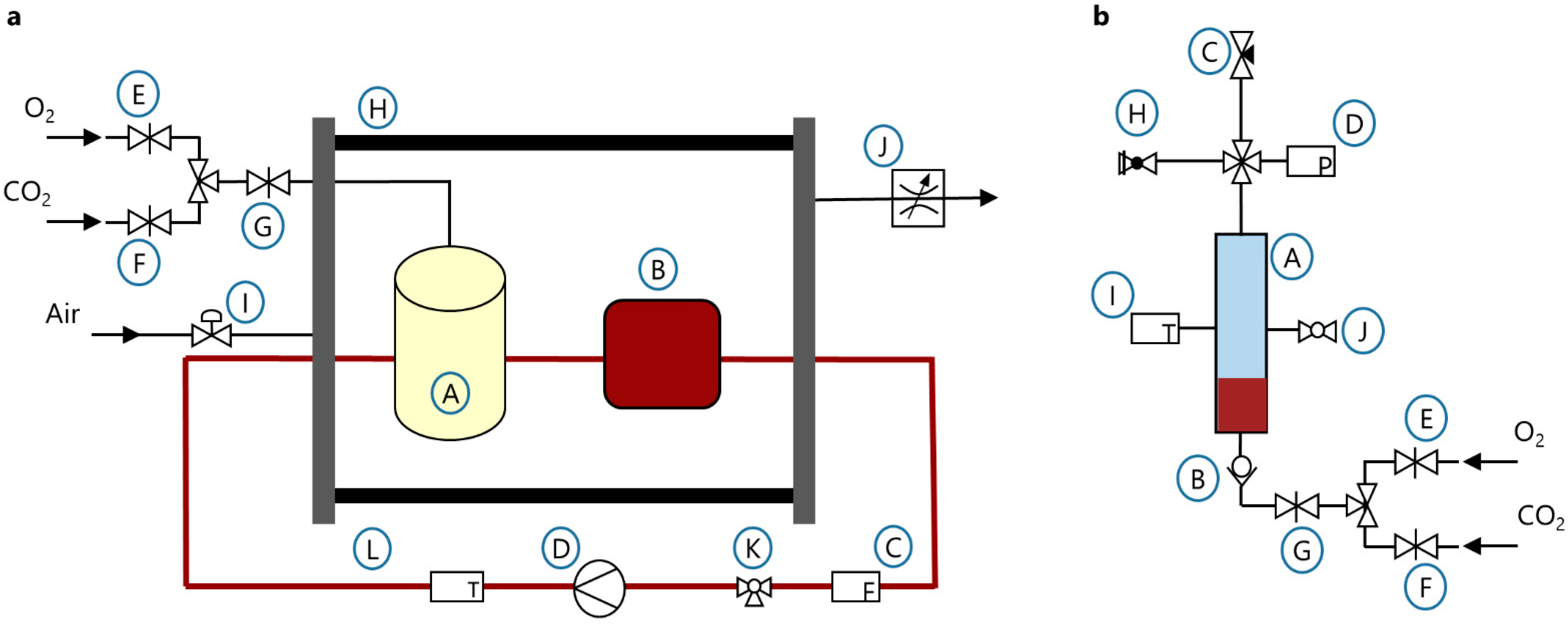 Membranes 12 00056 g002 Membranes 12 00056 g002